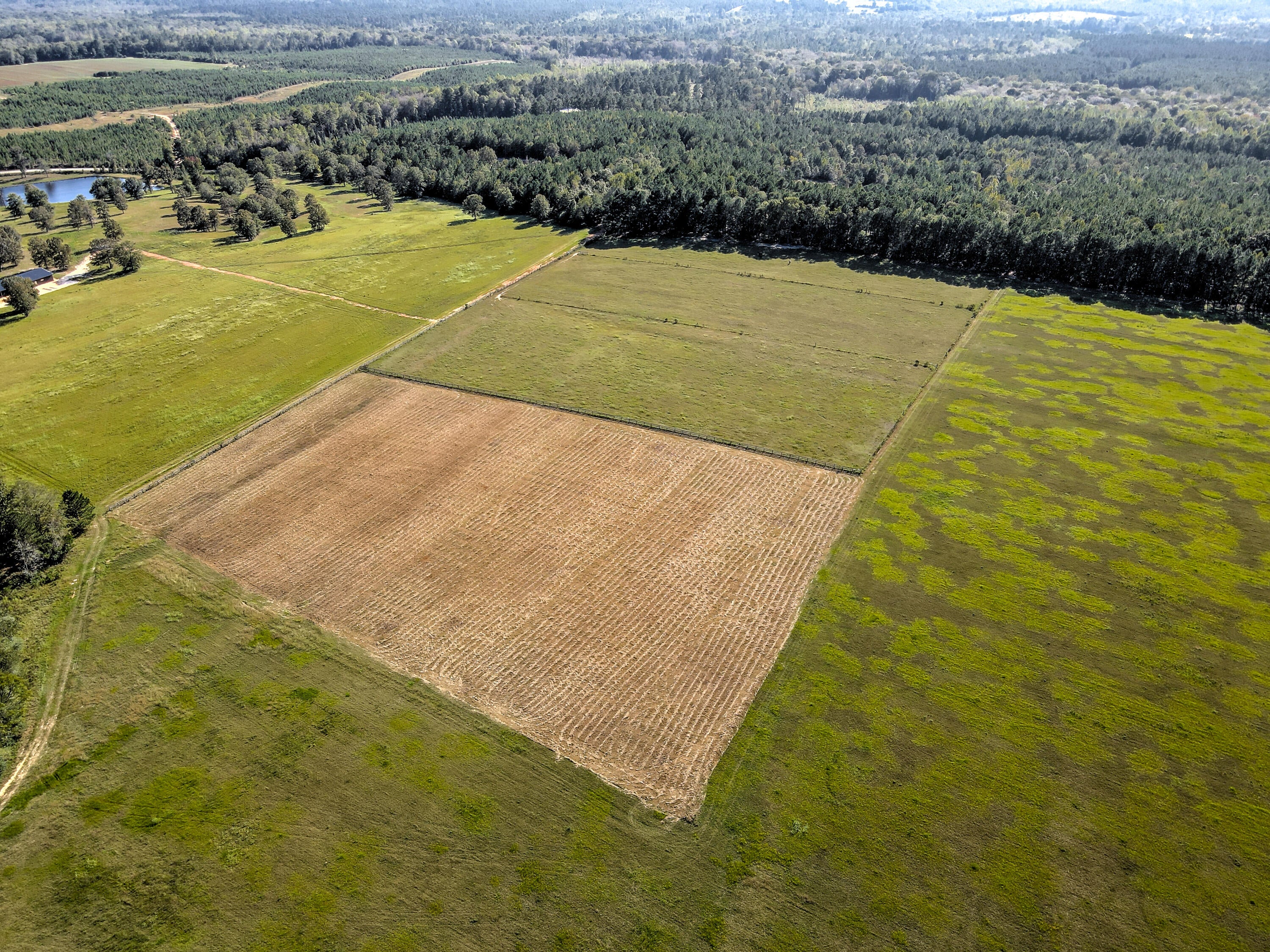 Wagener, South Carolina, 29164, United States, ,Land,For Sale,1969040
