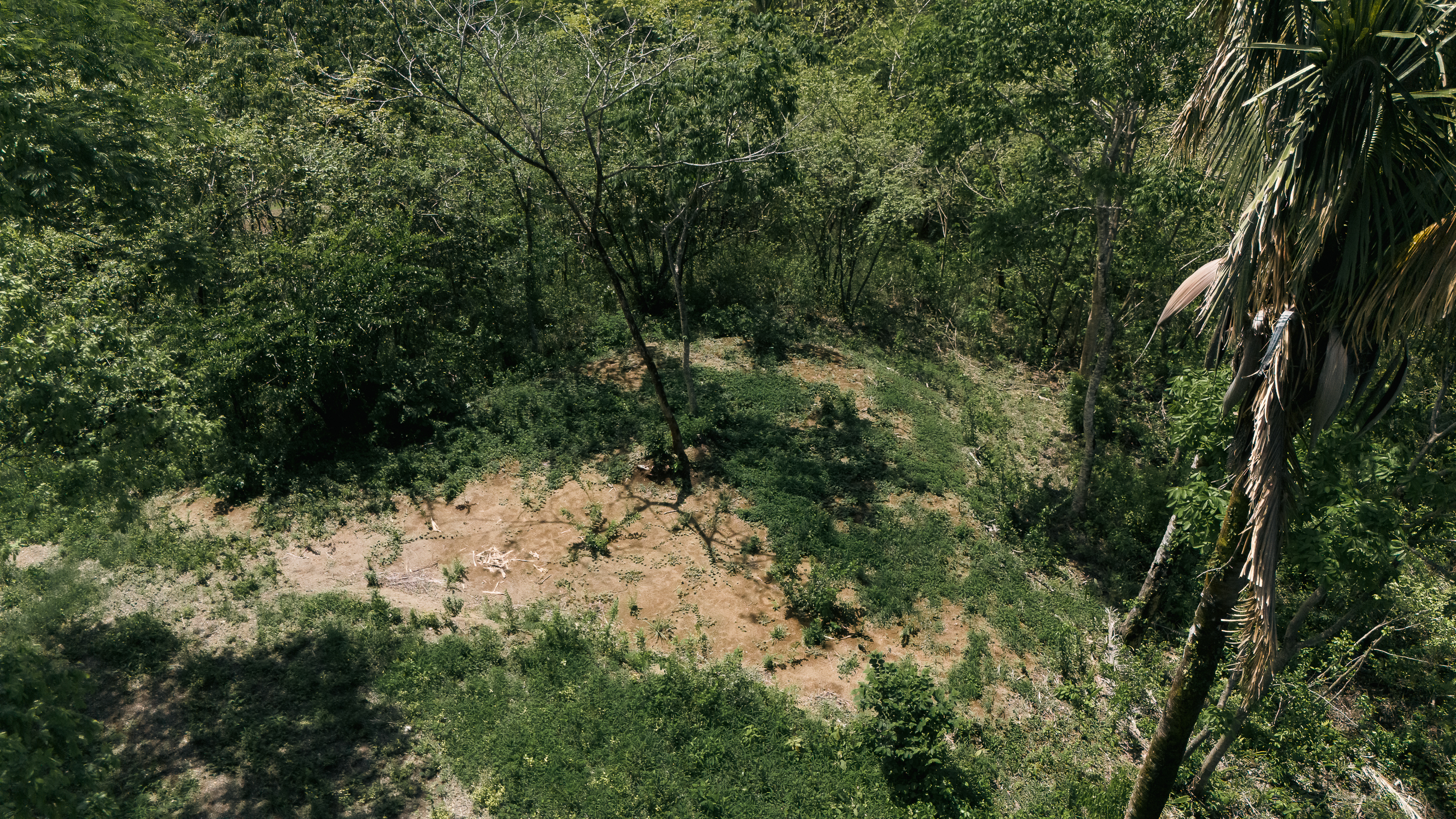 Nosara, Guanacaste, CR, ,Land,For Sale,1669008