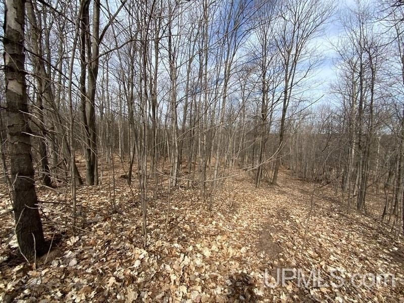 TBD W US 41, Marquette, Michigan, 49855, United States, ,Residential,For Sale,TBD W US 41,1601608