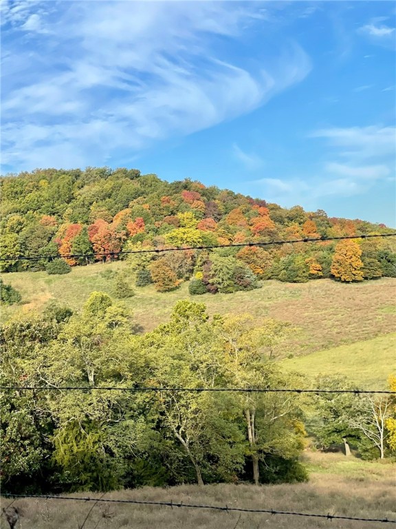 Berryville, Arkansas, 72616, United States, 6 Bedrooms Bedrooms, ,4 BathroomsBathrooms,Residential,For Sale,1988341