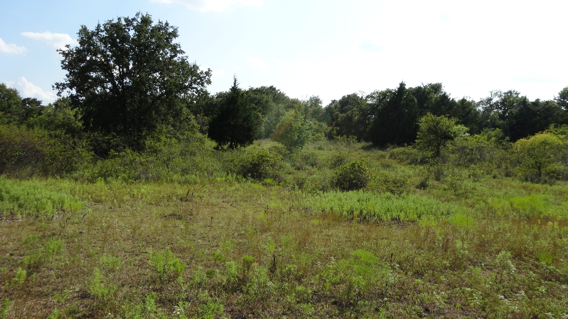 0 Highway 114, Boyd, Texas, 76023, United States, ,Residential,For Sale,0 Highway 114,1008641
