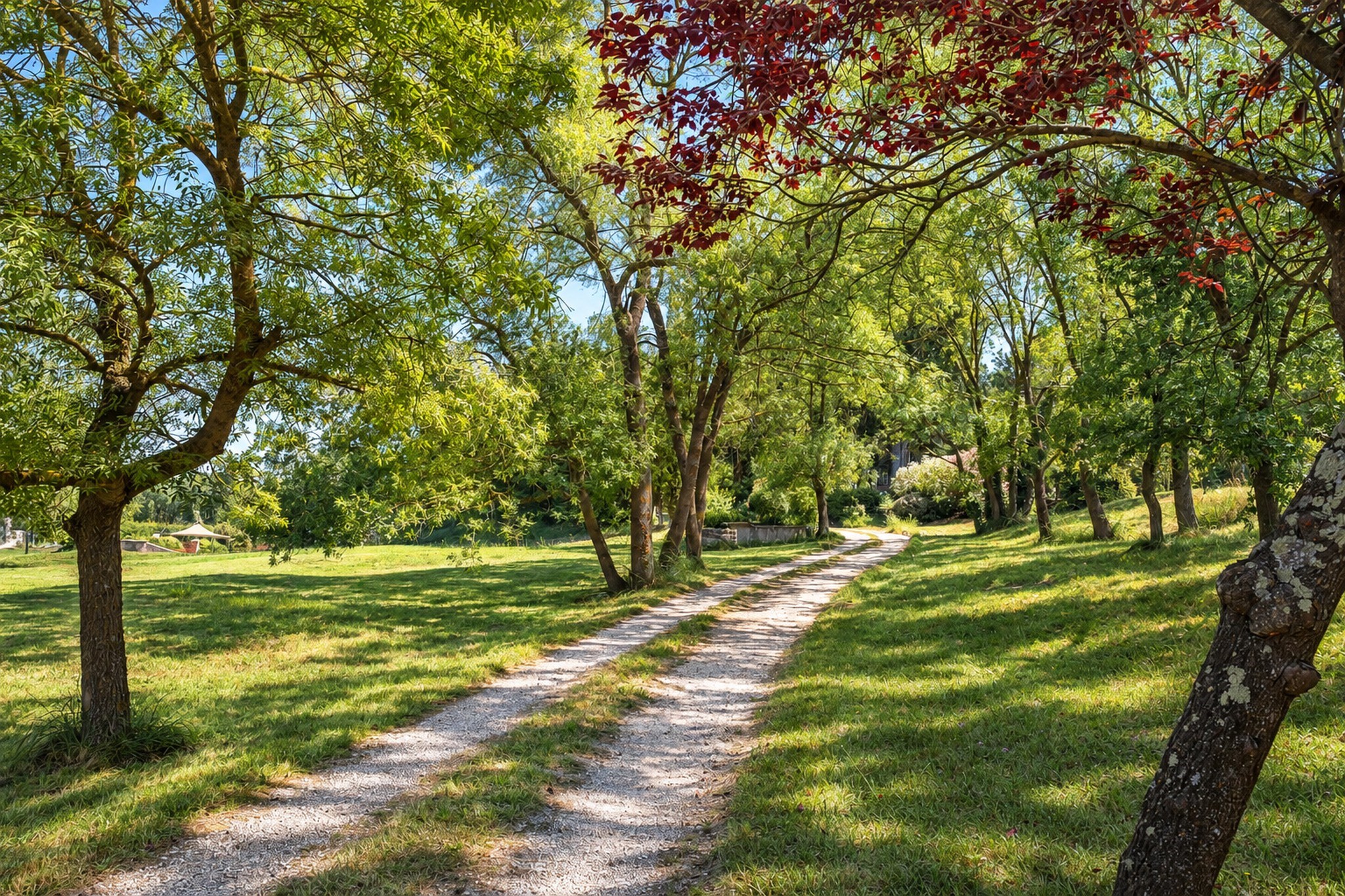  Châteauneuf-Grasse historic stone farmhouse estate with 3 hectares land, pool a… - 物件實景