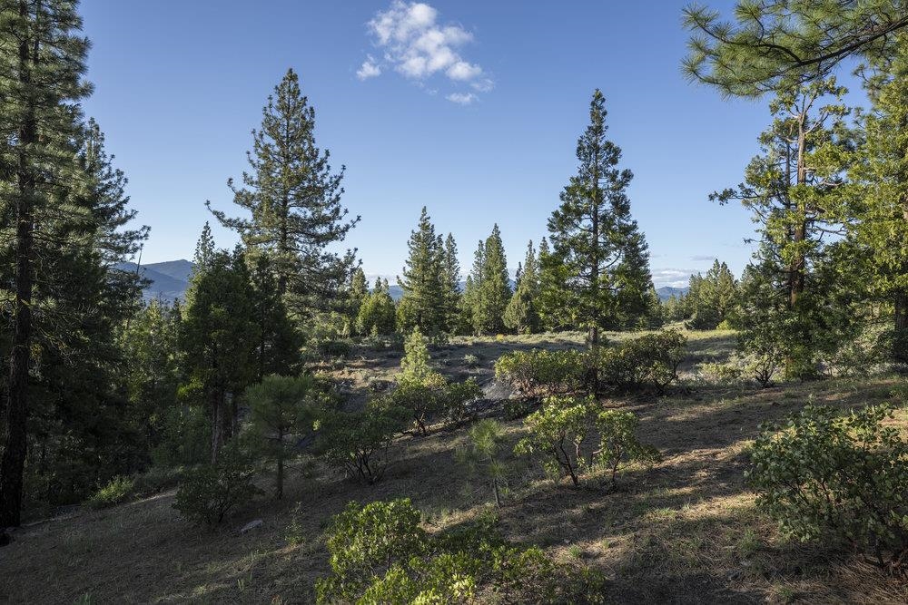 Portola, California, 96122, United States, 3 Bedrooms Bedrooms, ,3 BathroomsBathrooms,Residential,For Sale,1907410