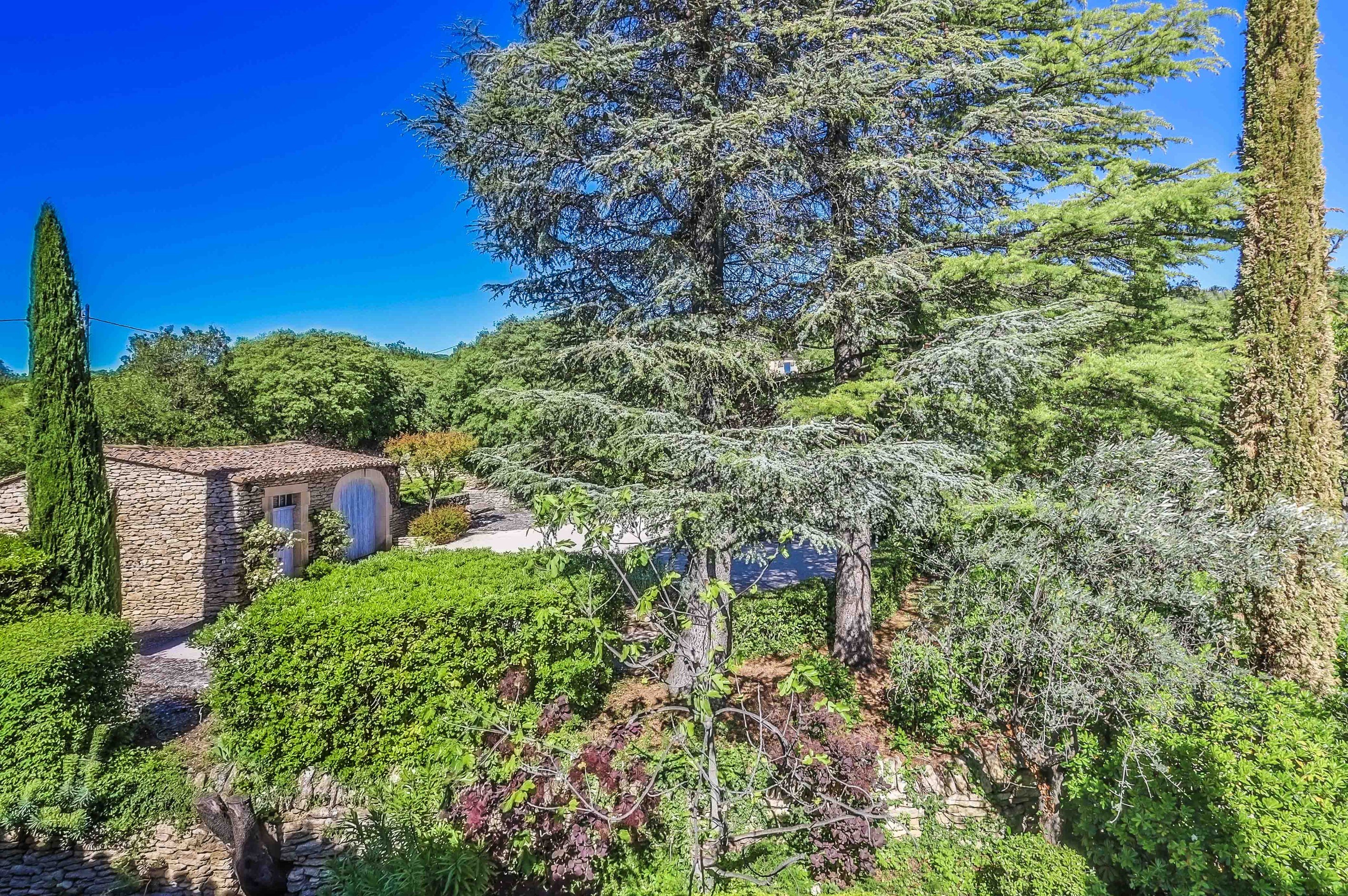  19th Century Mas near Gordes – Pool, Guest House, Provençal Charm - 物件實景