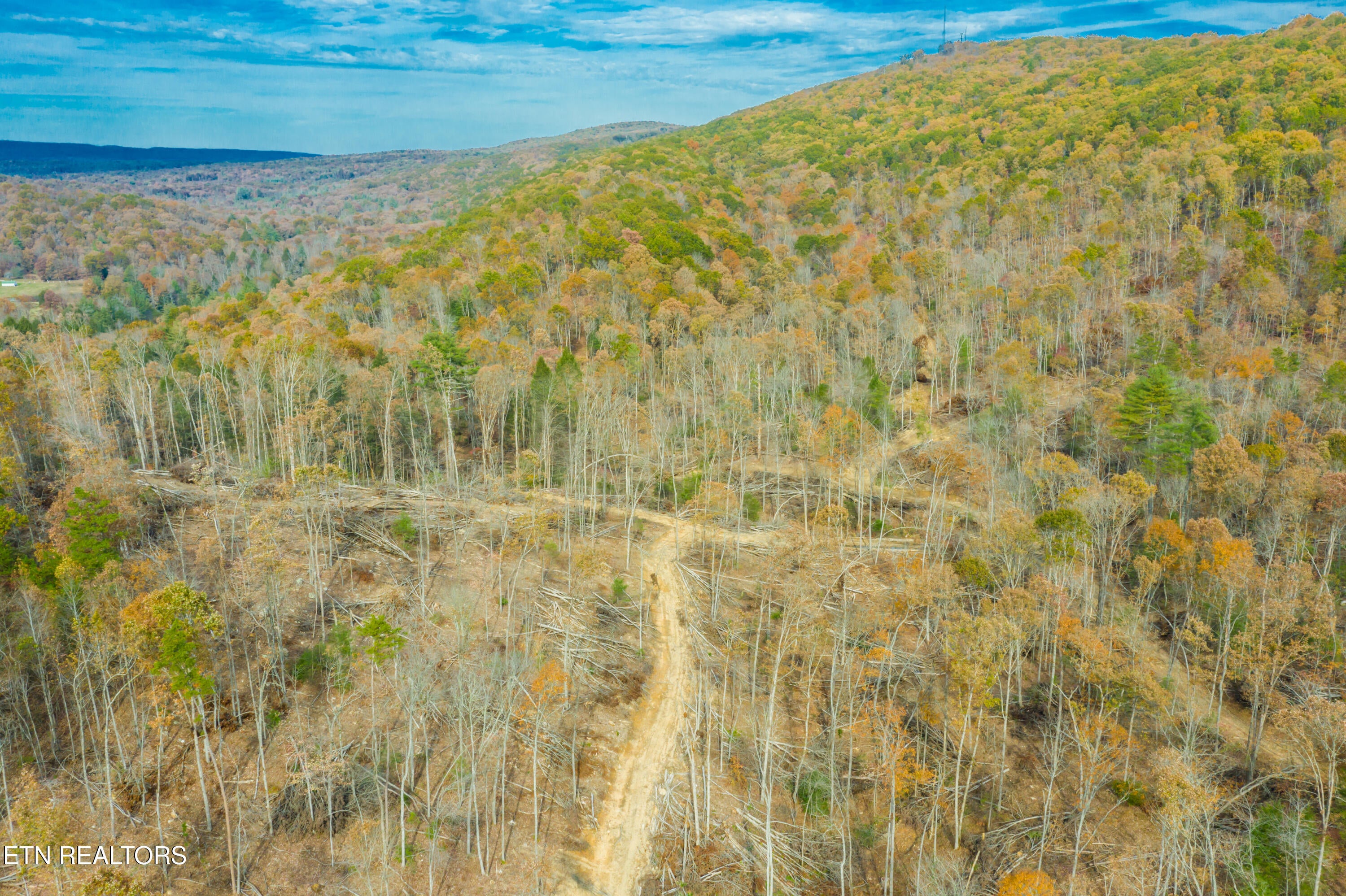 Rockwood, Tennessee, 37854, United States, ,Land,For Sale,1806468