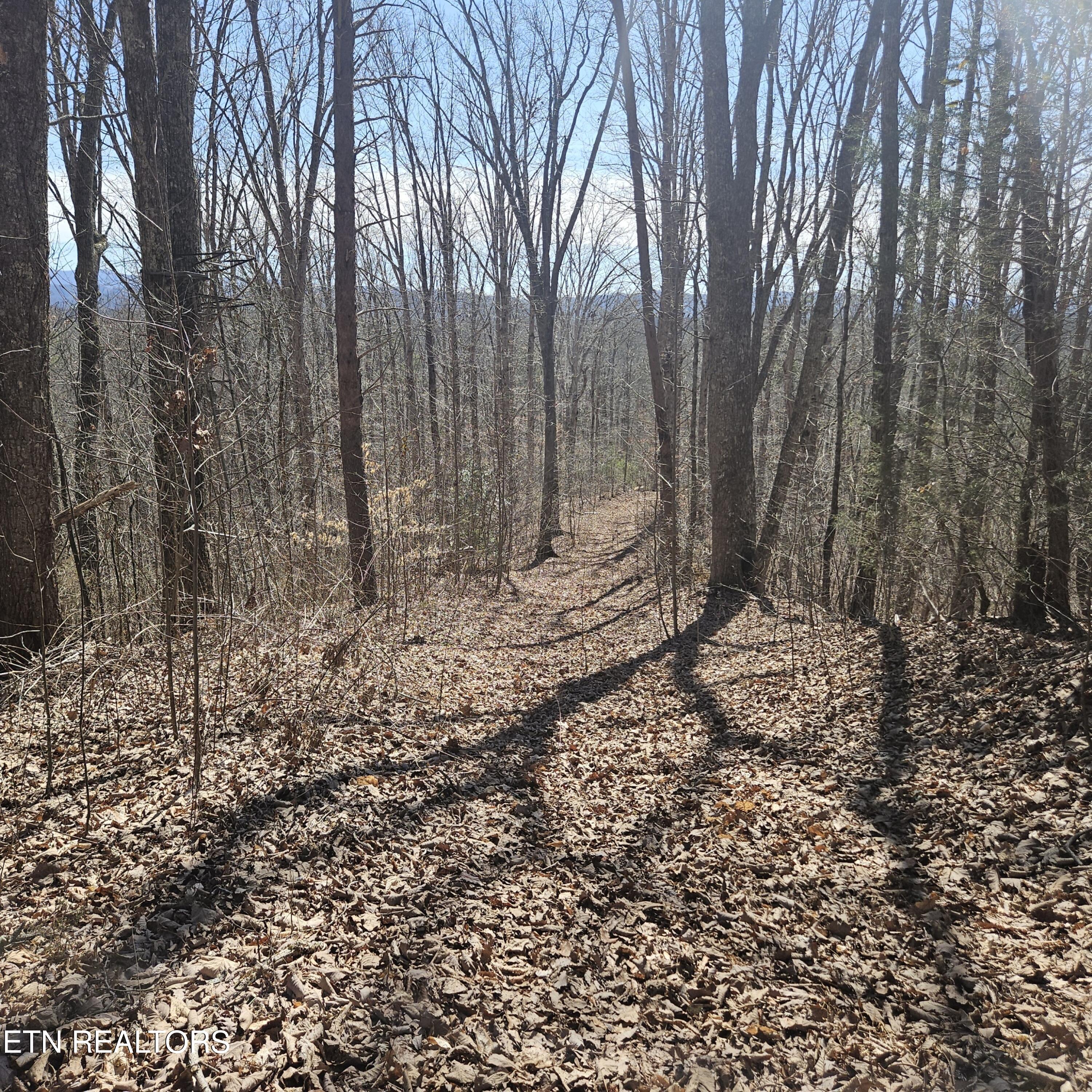 Tellico Plains, Tennessee, 37385, United States, ,Residential,For Sale,1922105