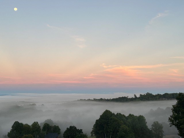 Morganton, Georgia, 30560, United States, 3 Bedrooms Bedrooms, ,3 BathroomsBathrooms,Residential,For Sale,1983802