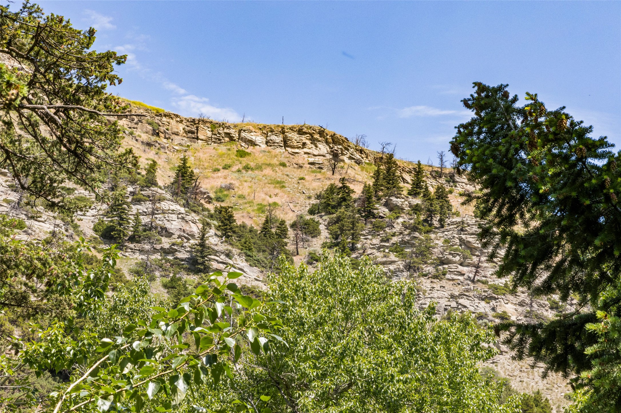  380 W Boulder Road - 物件實景