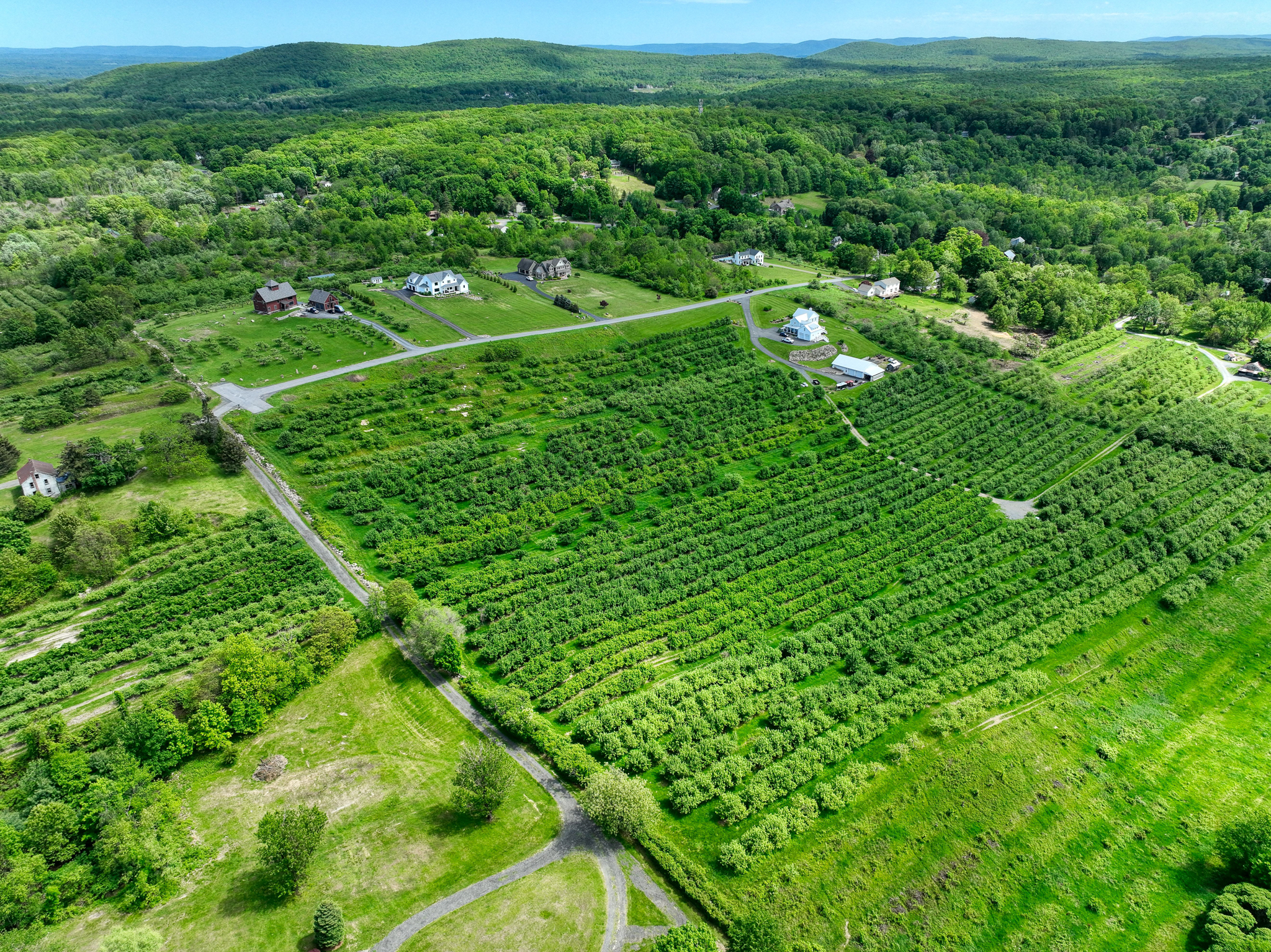  75 Palazzo Lane, Highland, NY 12528 - 物件實景