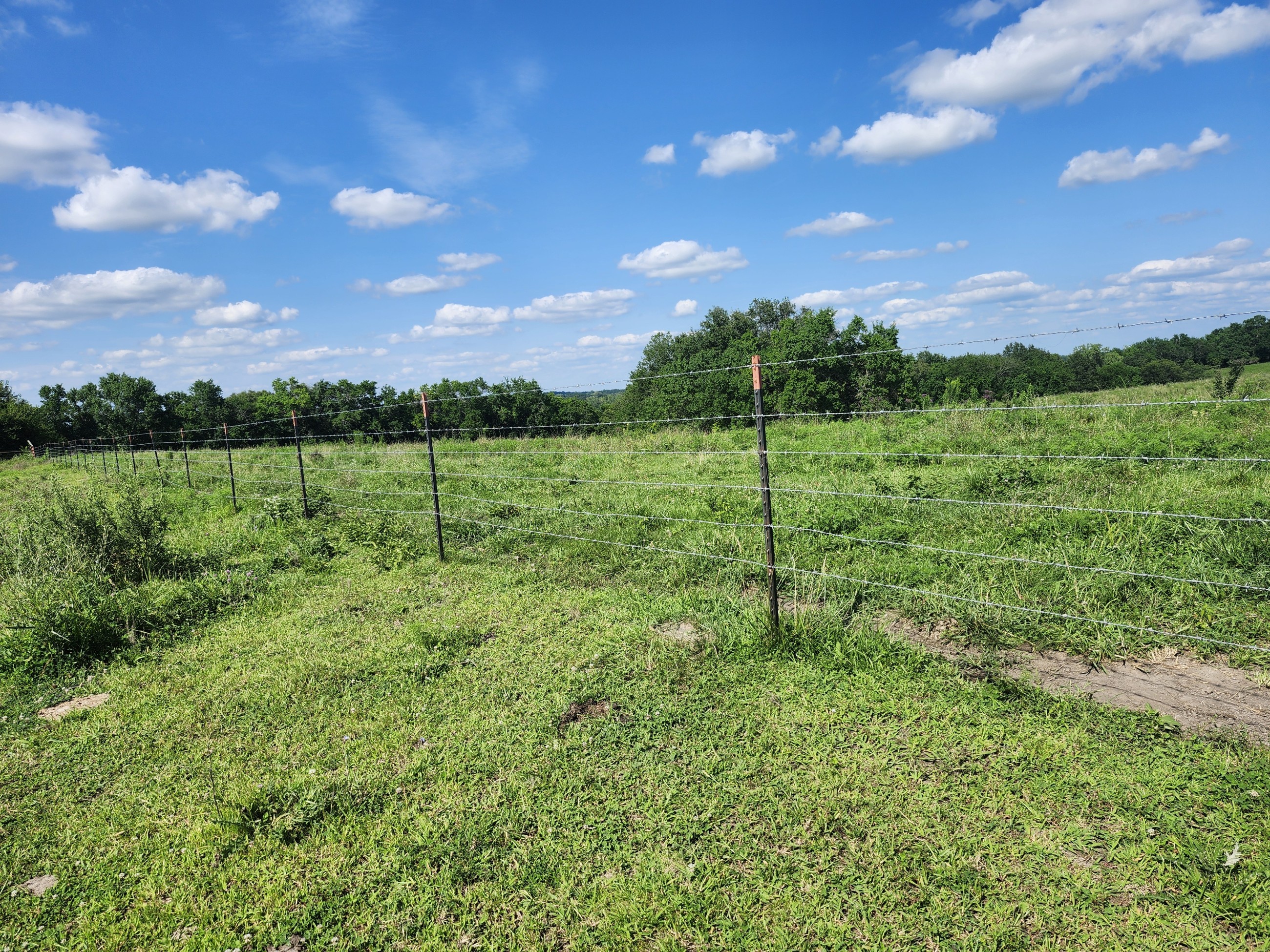Princeton, Missouri, 64673, United States, ,Land,For Sale,2001559