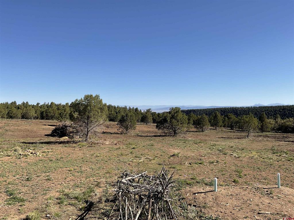 Montrose, Colorado, 81403, United States, ,Land,For Sale,1919926