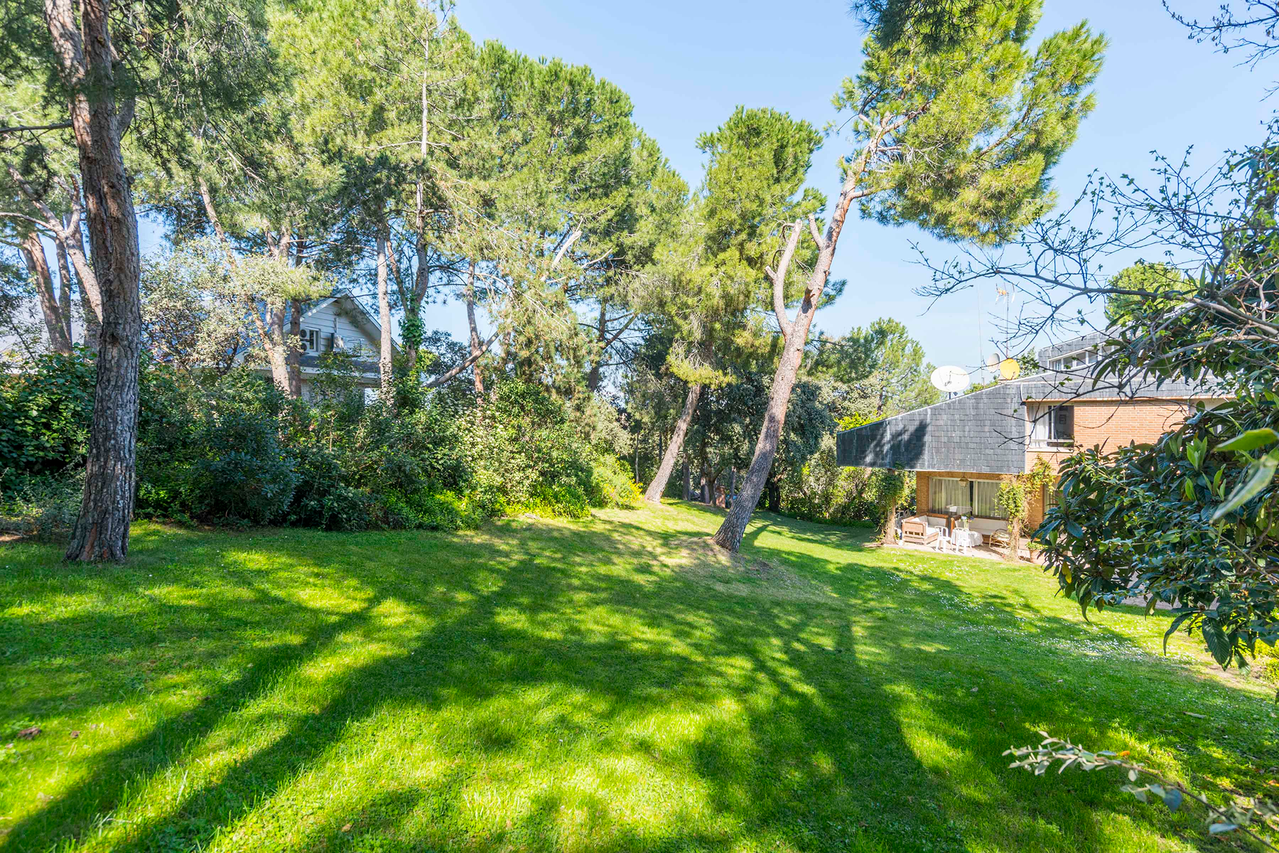  Wonderful hectare plot in La Moraleja - 物件實景