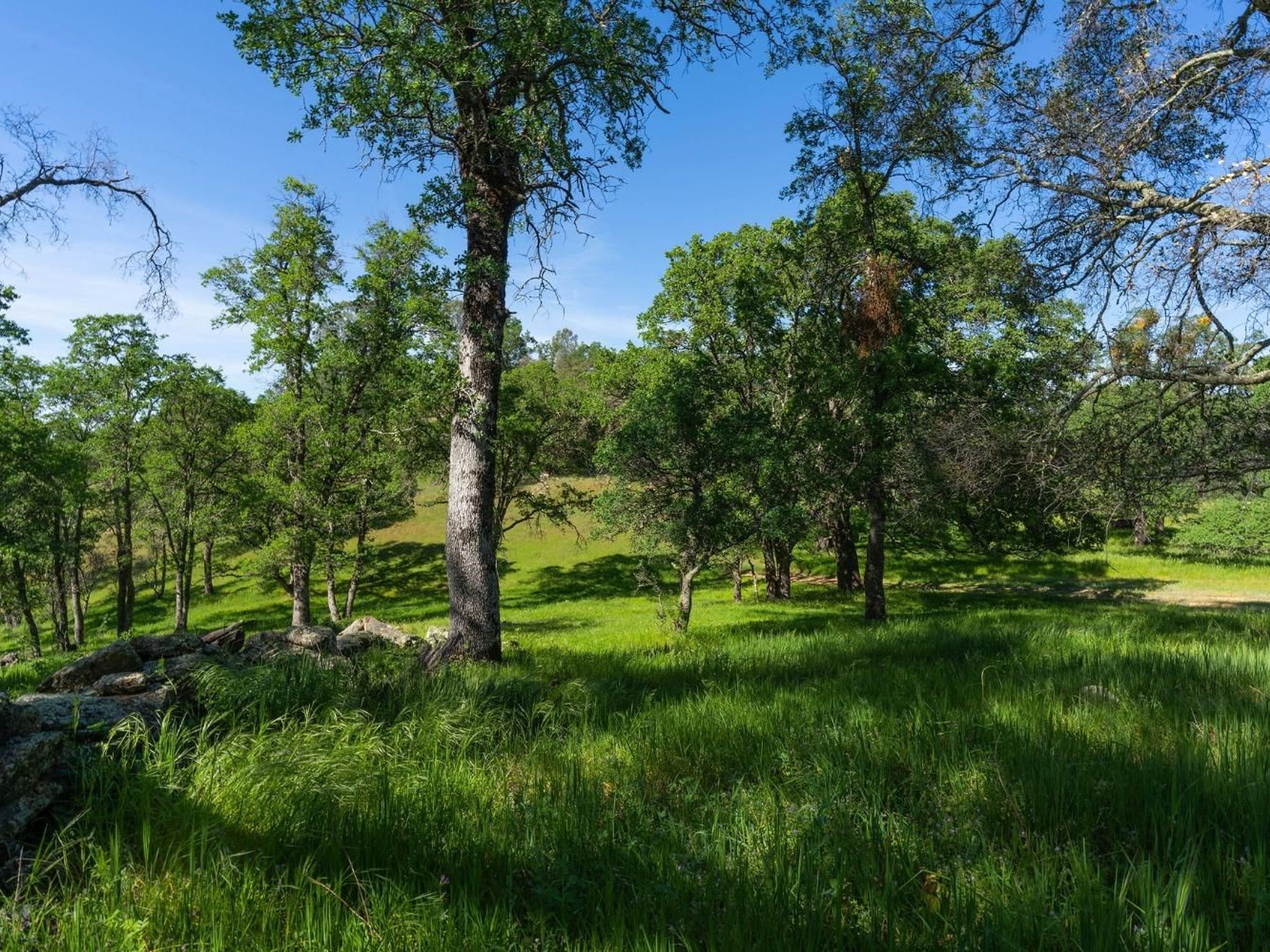  10865 Sunset Drive, Sutter Creek, CA 95685 - 物件實景