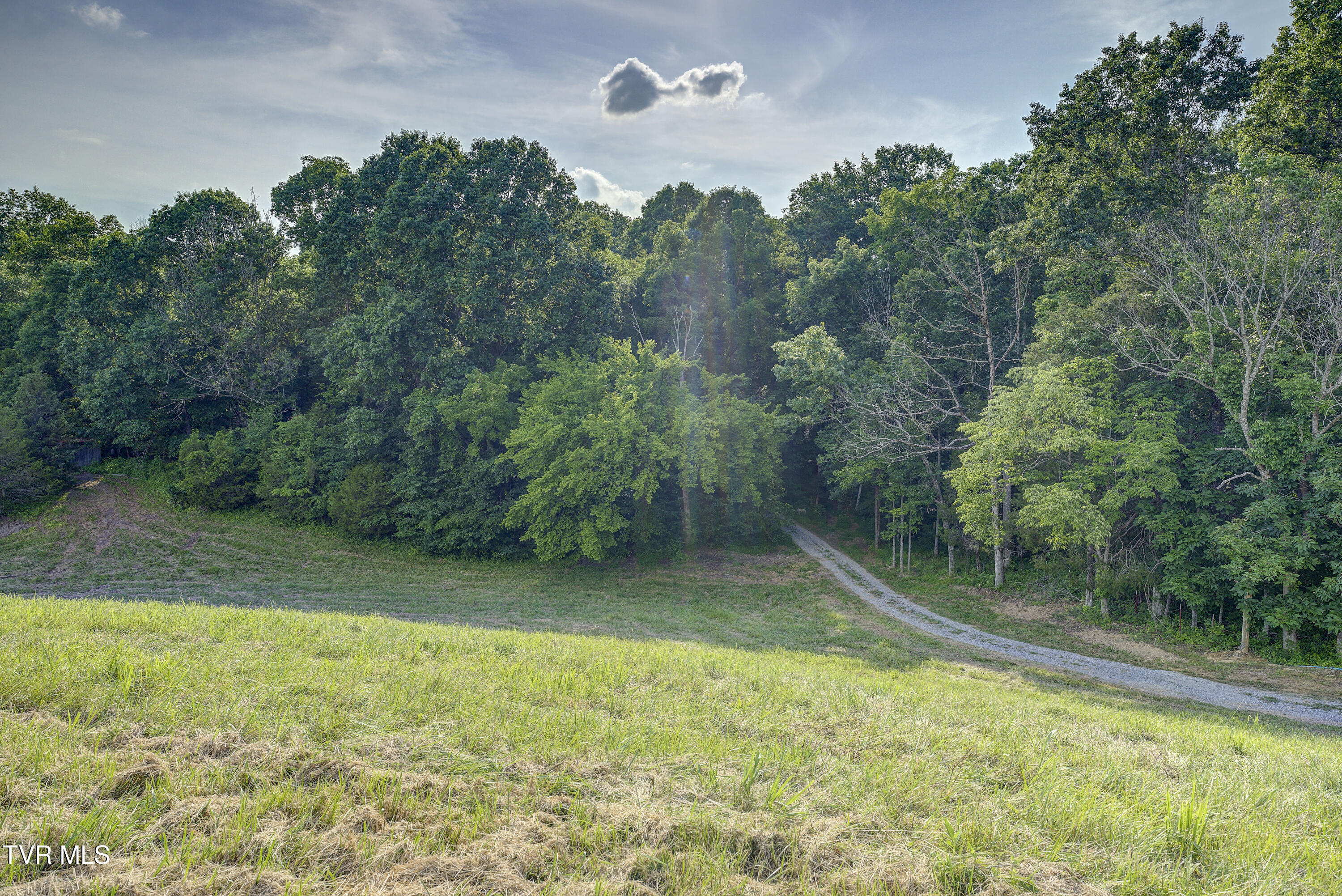 Piney Flats, Tennessee, 37686, United States, ,Land,For Sale,1983828