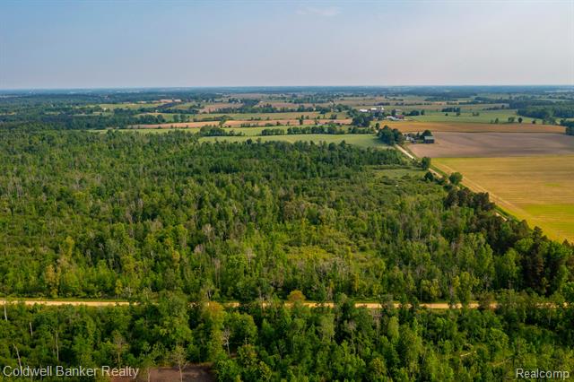000 Willis Road, Burnside Twp, Michigan, 48416, United States, ,Land,For Sale,000 Willis Road,1288275