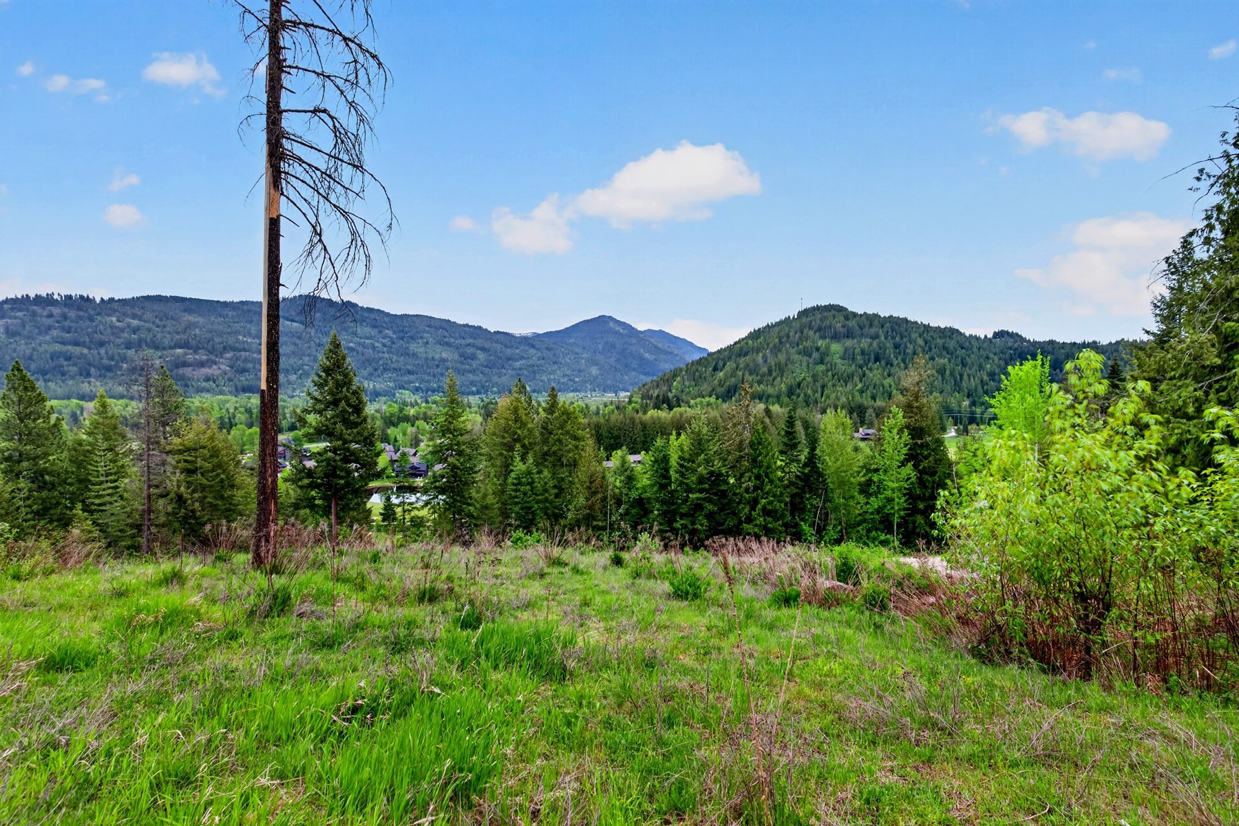  404 Fairway View Dr - The Idaho Club - 物件實景