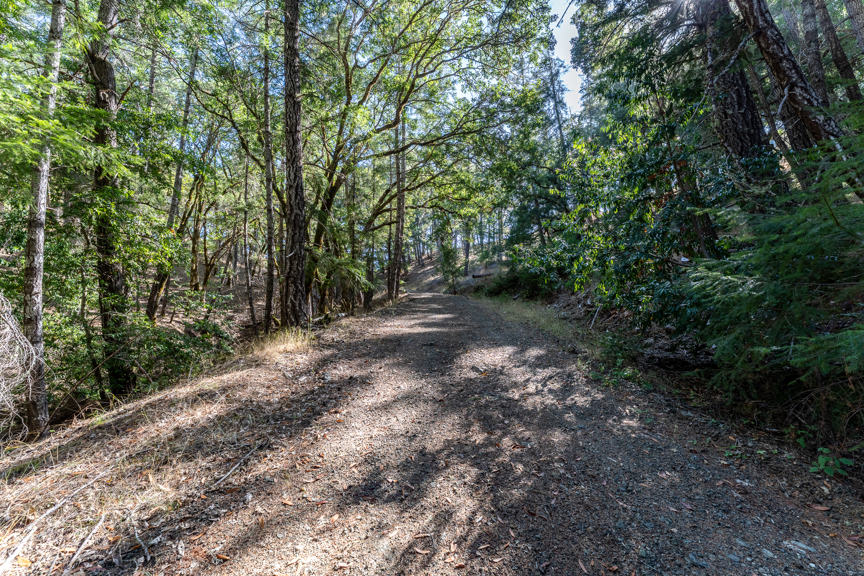 Willits, California, 95490, United States, 2 Bedrooms Bedrooms, ,2 BathroomsBathrooms,Residential,For Sale,1959114