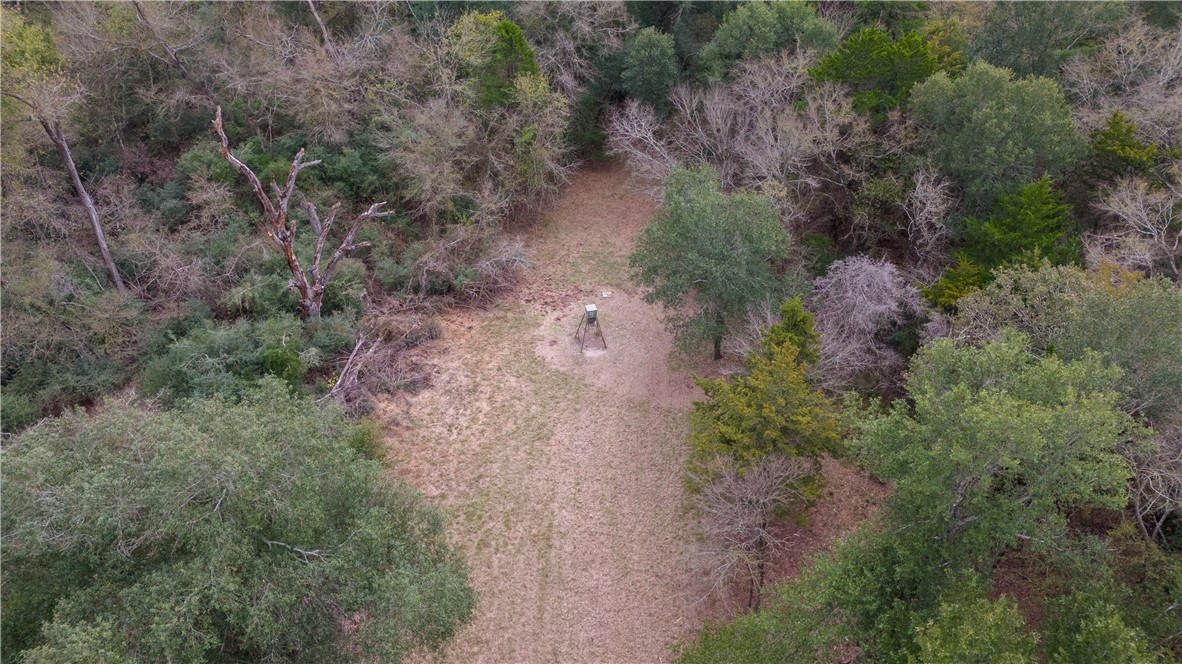 Thornton, Texas, 76687, United States, ,Land,For Sale,2003074