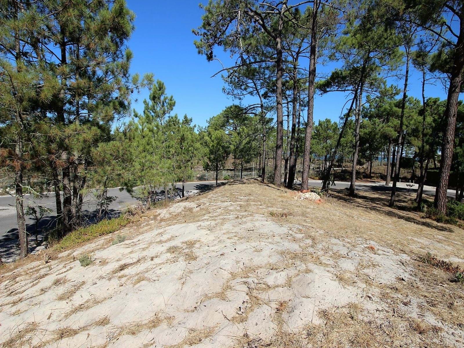 Grândola, Setúbal, 7570-779, PT, ,Land,For Sale,1699910