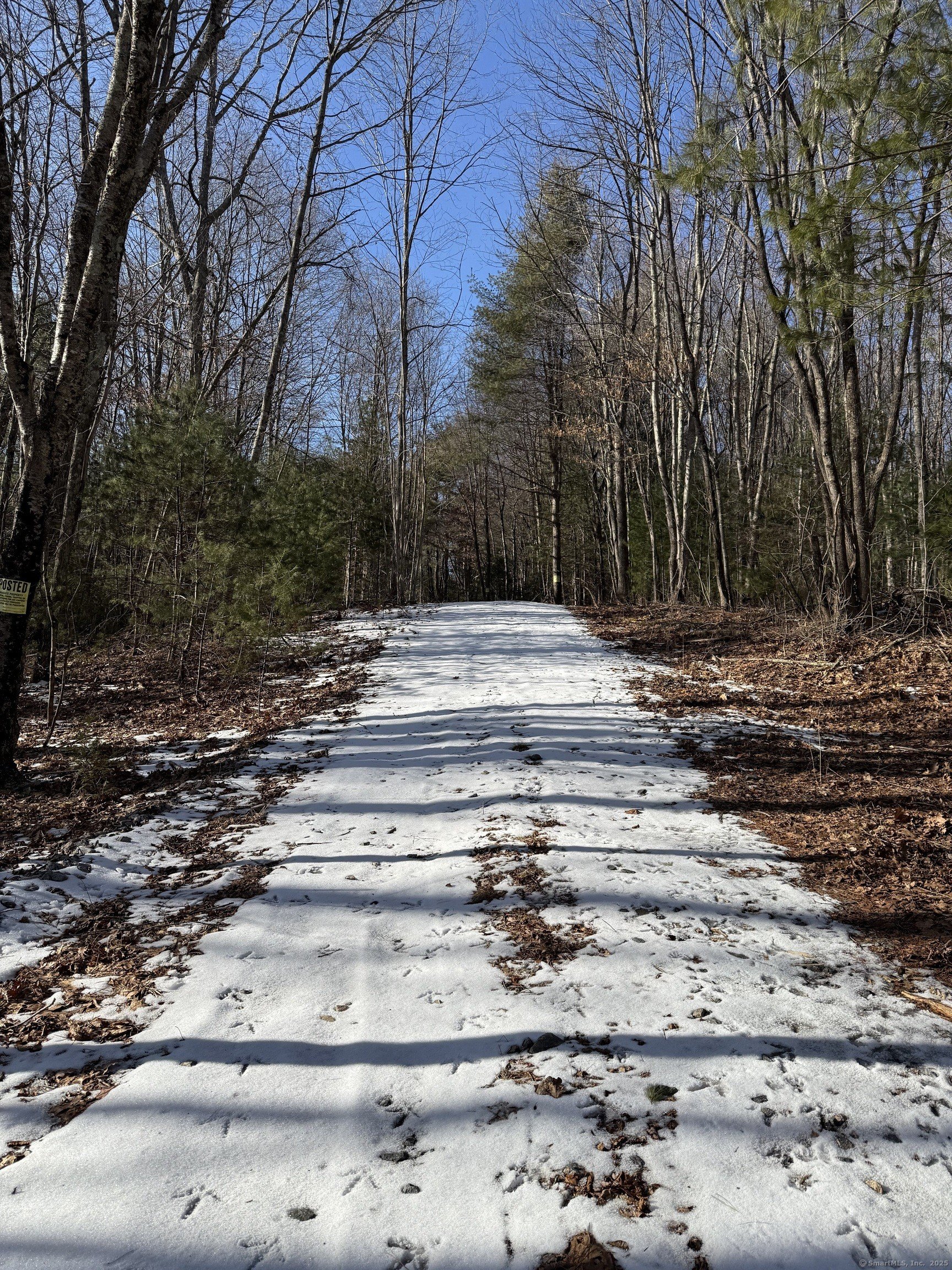 Burlington, Connecticut, 06013, United States, ,Land,For Sale,1982726