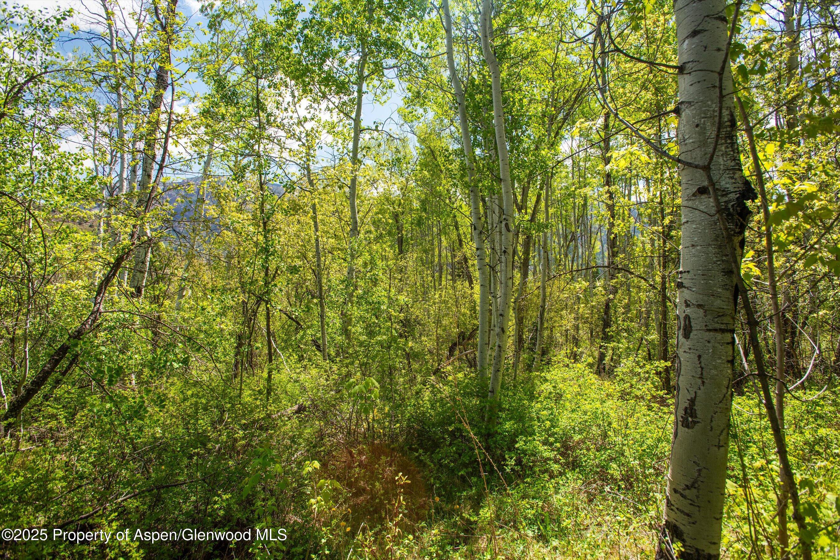 Redstone, Colorado, 81623, United States, ,Residential,For Sale,1838279