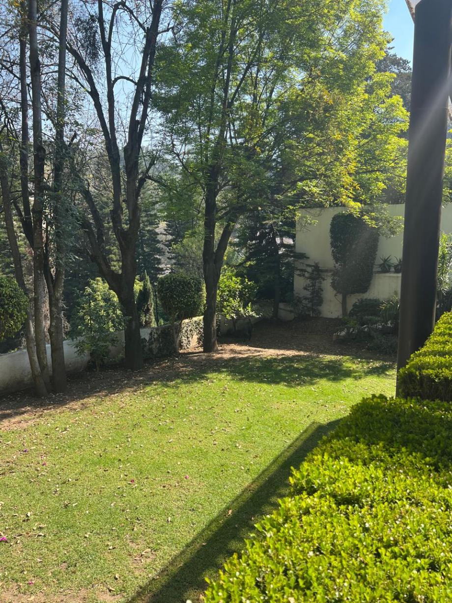 Miguel Hidalgo, Ciudad de México, 11700, Mexico, 3 Bedrooms Bedrooms, ,4 BathroomsBathrooms,Residential,For Sale,1916928