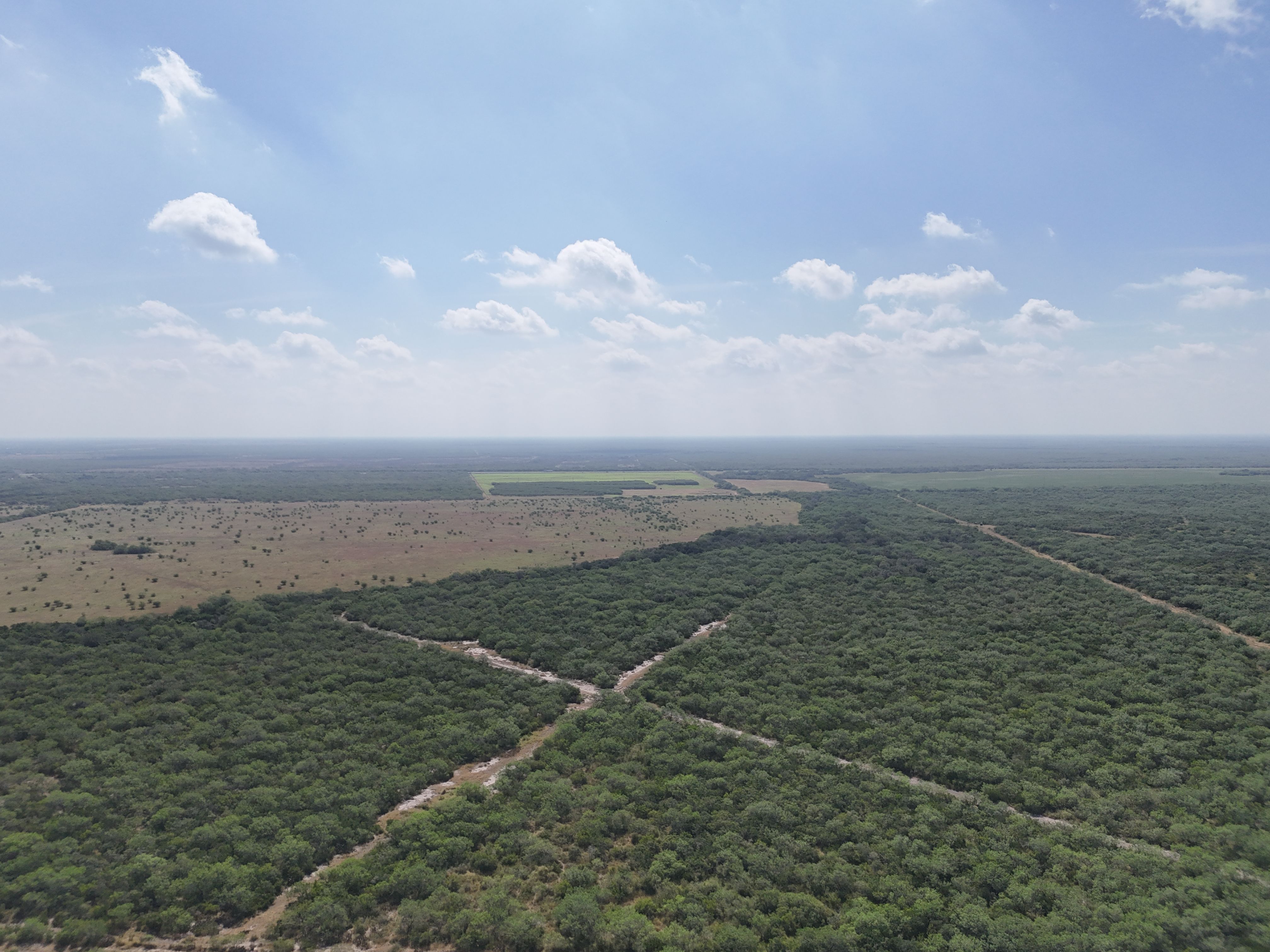  976+/- Acres - San Andreas Creek Ranch - 物件實景