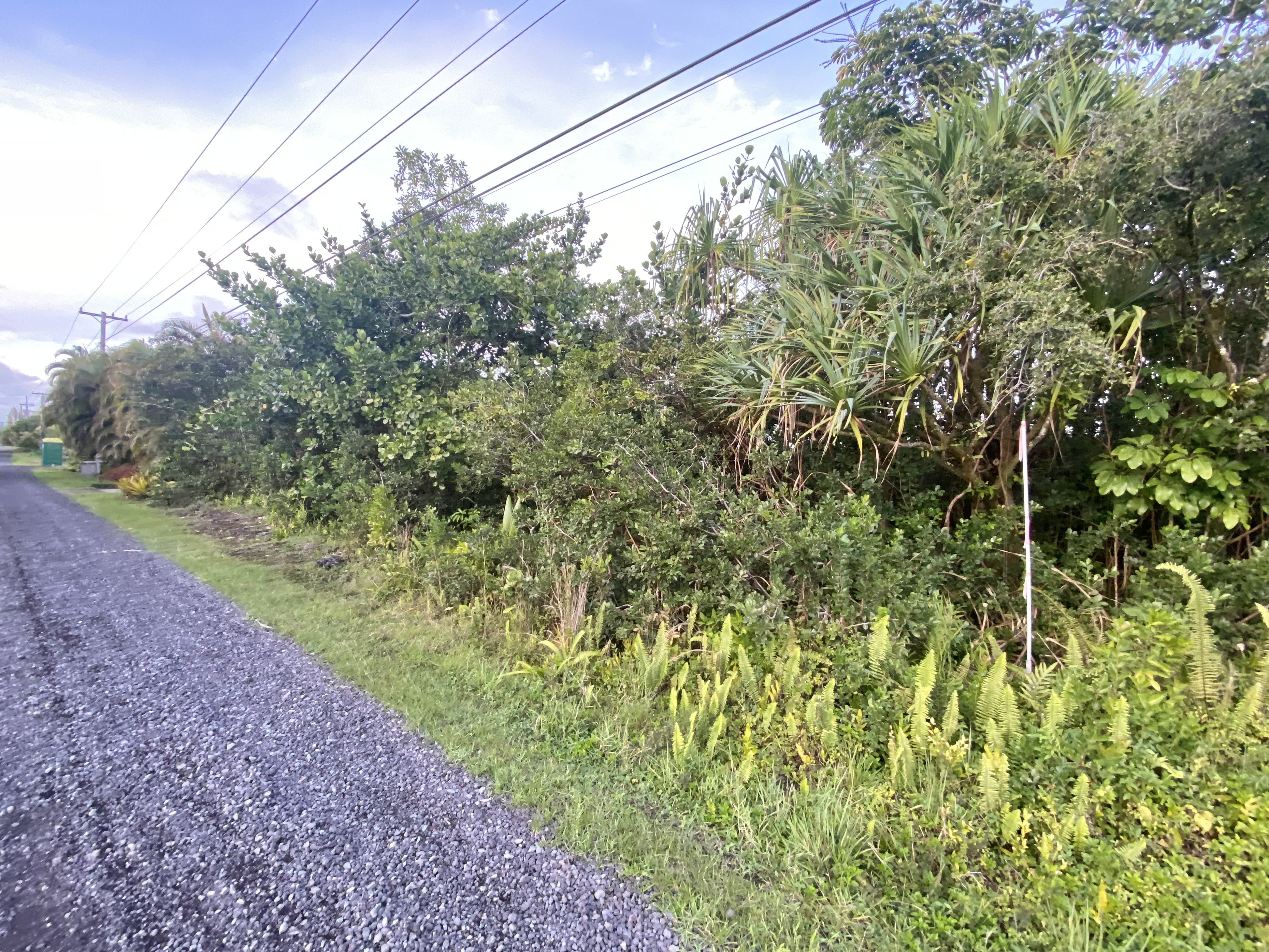 ObjectPhoto6