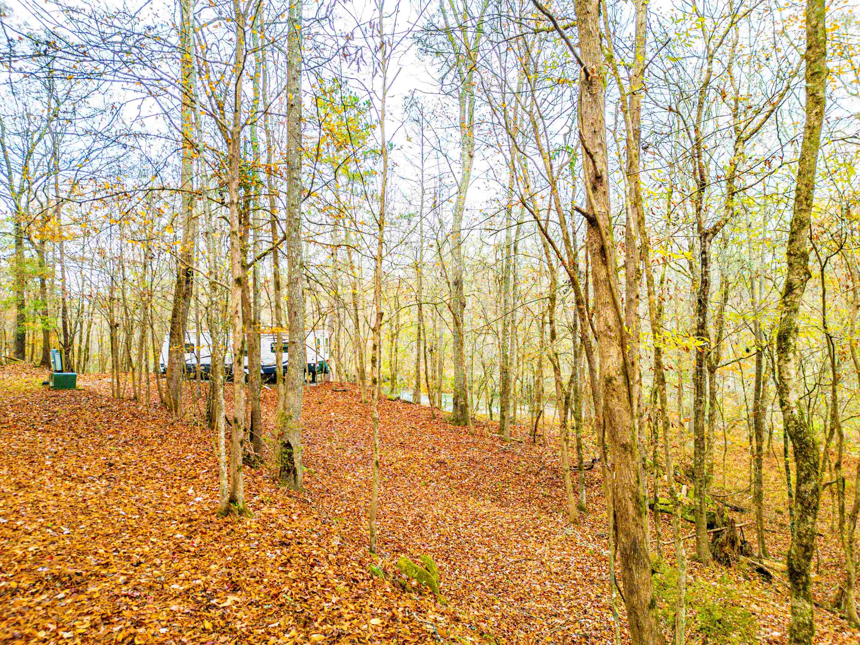 6.04 ac LINCHBURG ROAD, Eatonton, Georgia, 31024, United States, ,Land,For Sale,6.04 ac LINCHBURG ROAD,1683255