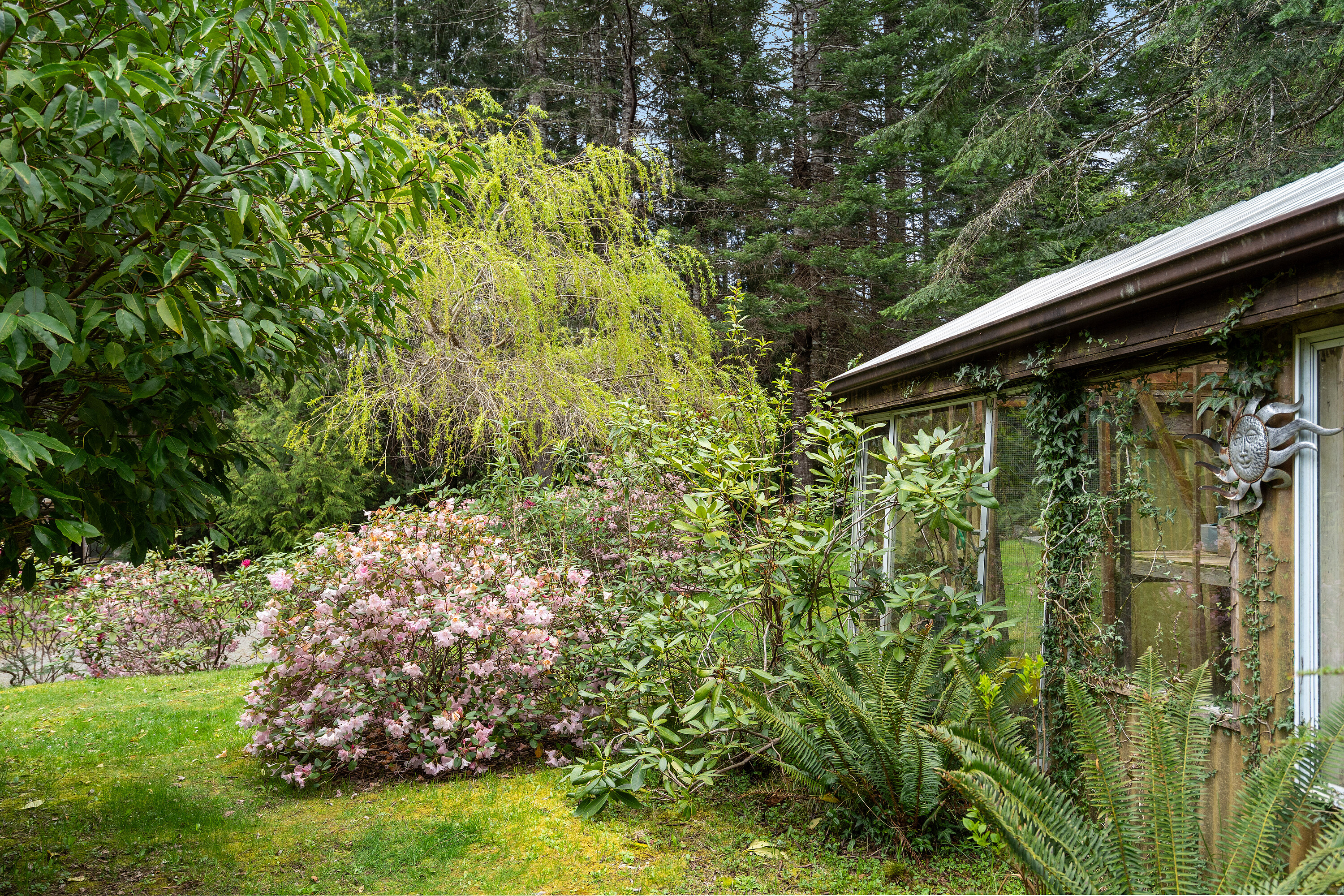  Casa Kaui - 物件實景