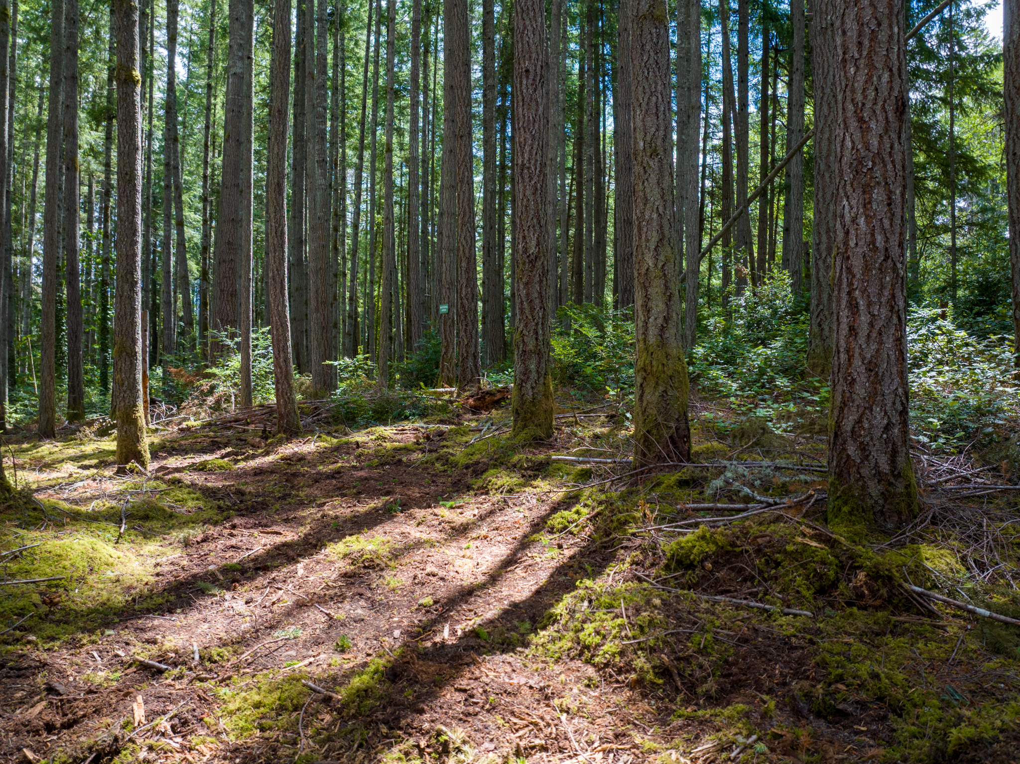  Lot B Bucsit Lane Northeast, Bainbridge Island, WA 98110 - 物件實景
