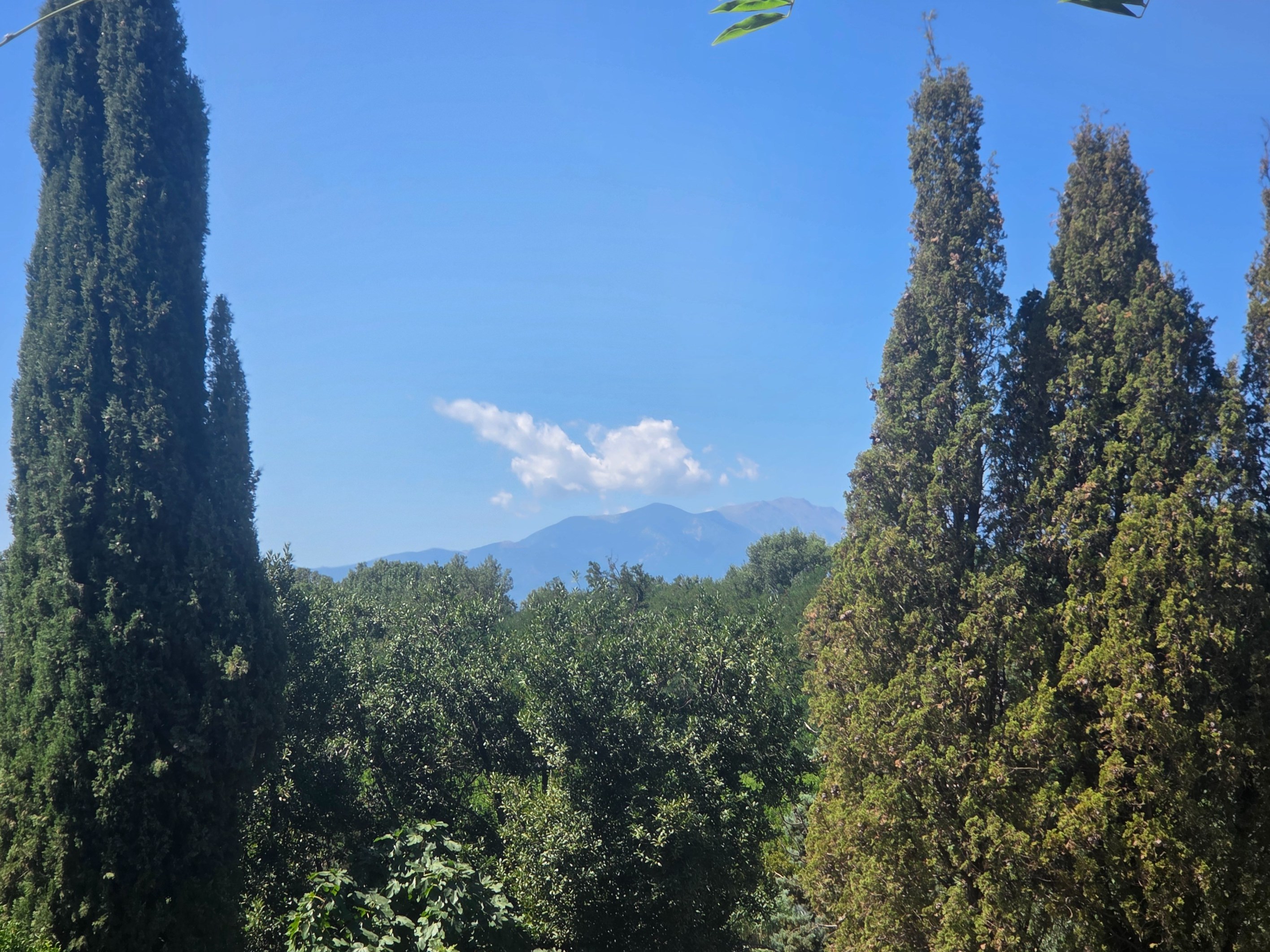  LA BELLE ENDORMIE – ON THE DOORSTEP OF PERPIGNAN - 物件實景