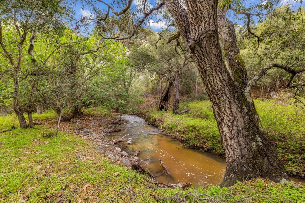 Salinas, California, 93908, United States, ,Residential,For Sale,1974881