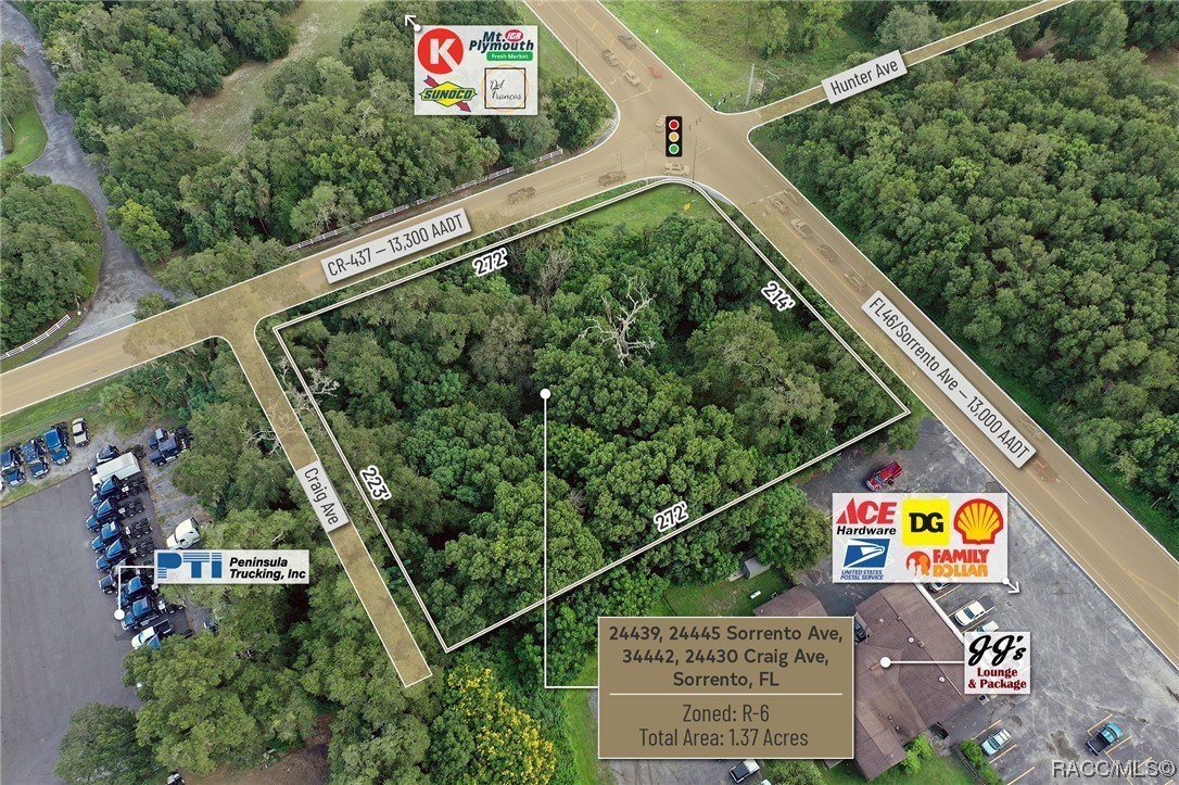 24439 Sorrento Avenue, Mount Dora, Florida, 32776, United States, ,Residential,For Sale,24439 Sorrento Avenue,1348352