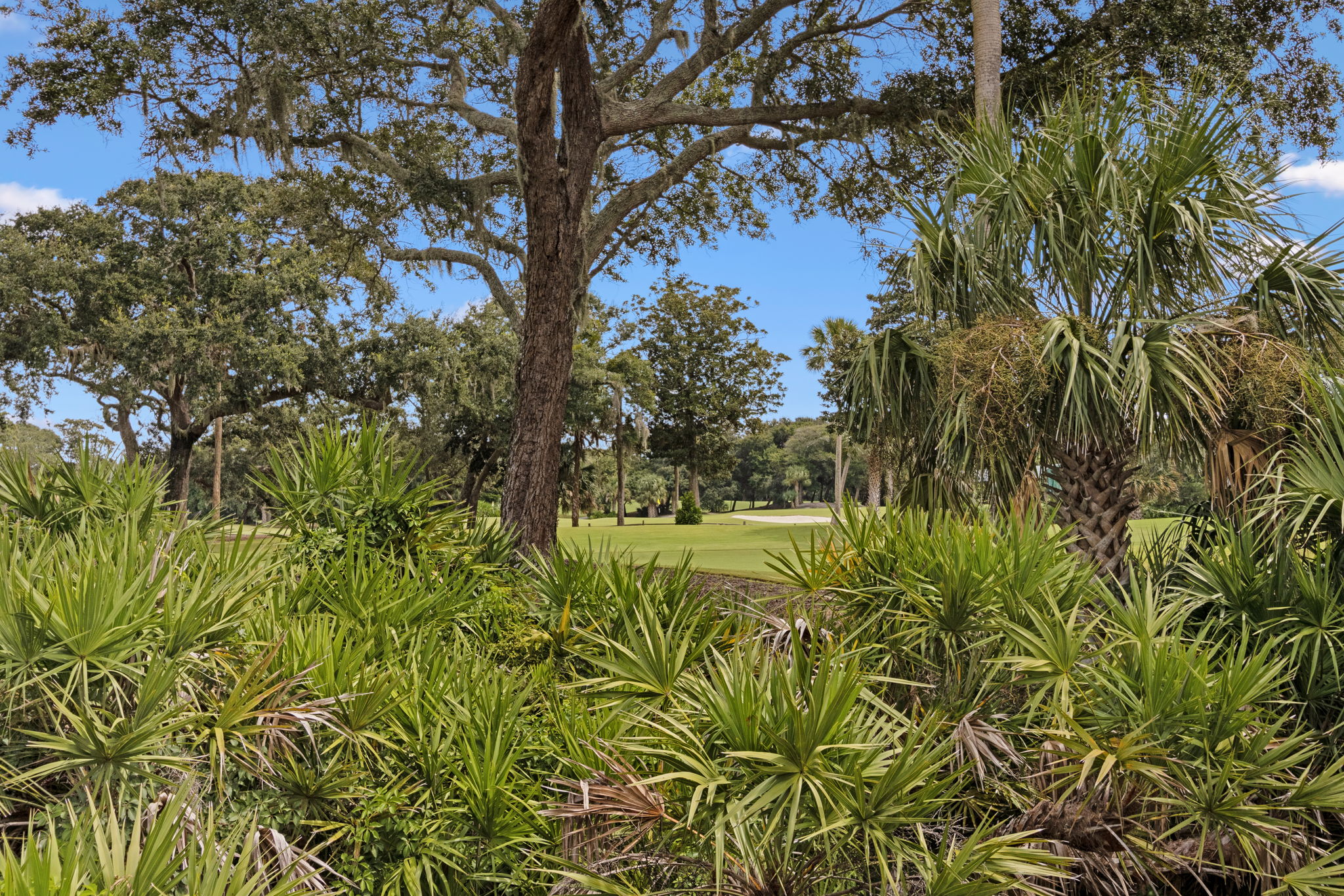  34 Long Point Drive, Fernandina Beach, FL, 32034 - 物件實景