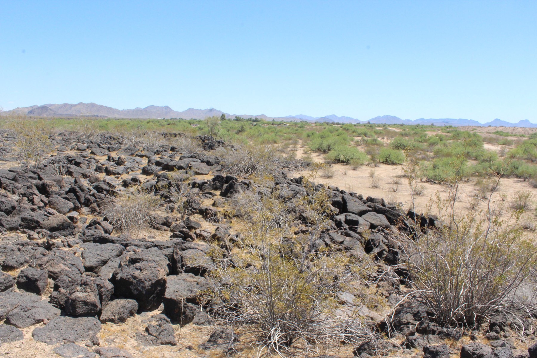  11 S 337th Avenue, Arlington, AZ, 85322 - 物件實景