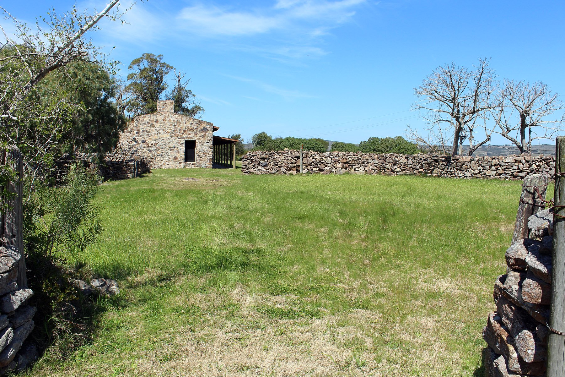  Farm with olive groves in Pueblo Edén - 物件實景