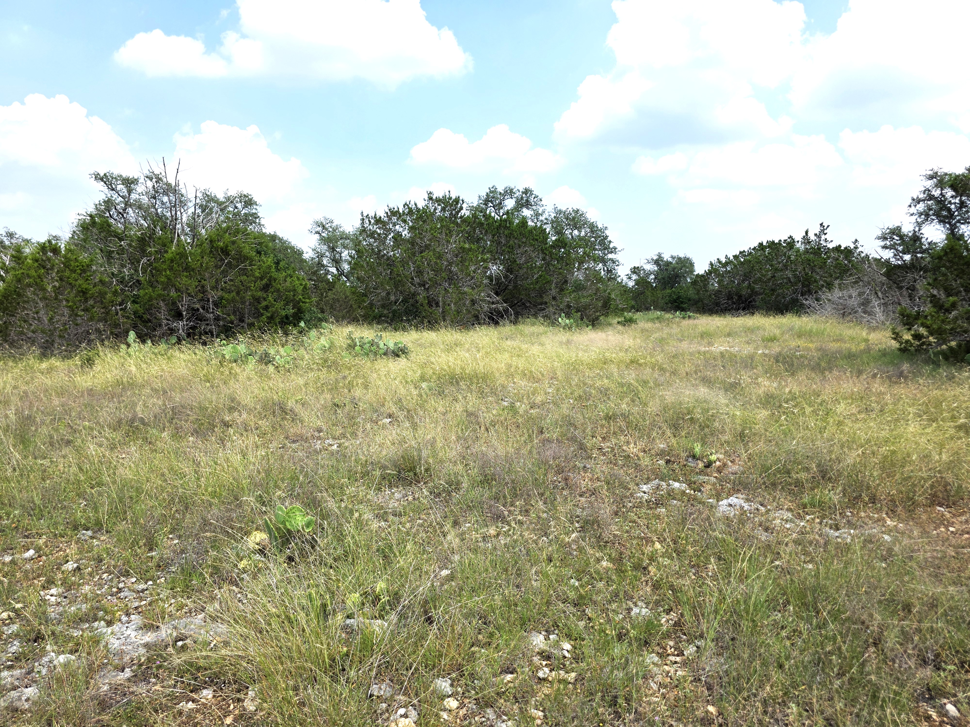 San Marcos, Texas, 78666, United States, ,Land,For Sale,1976108