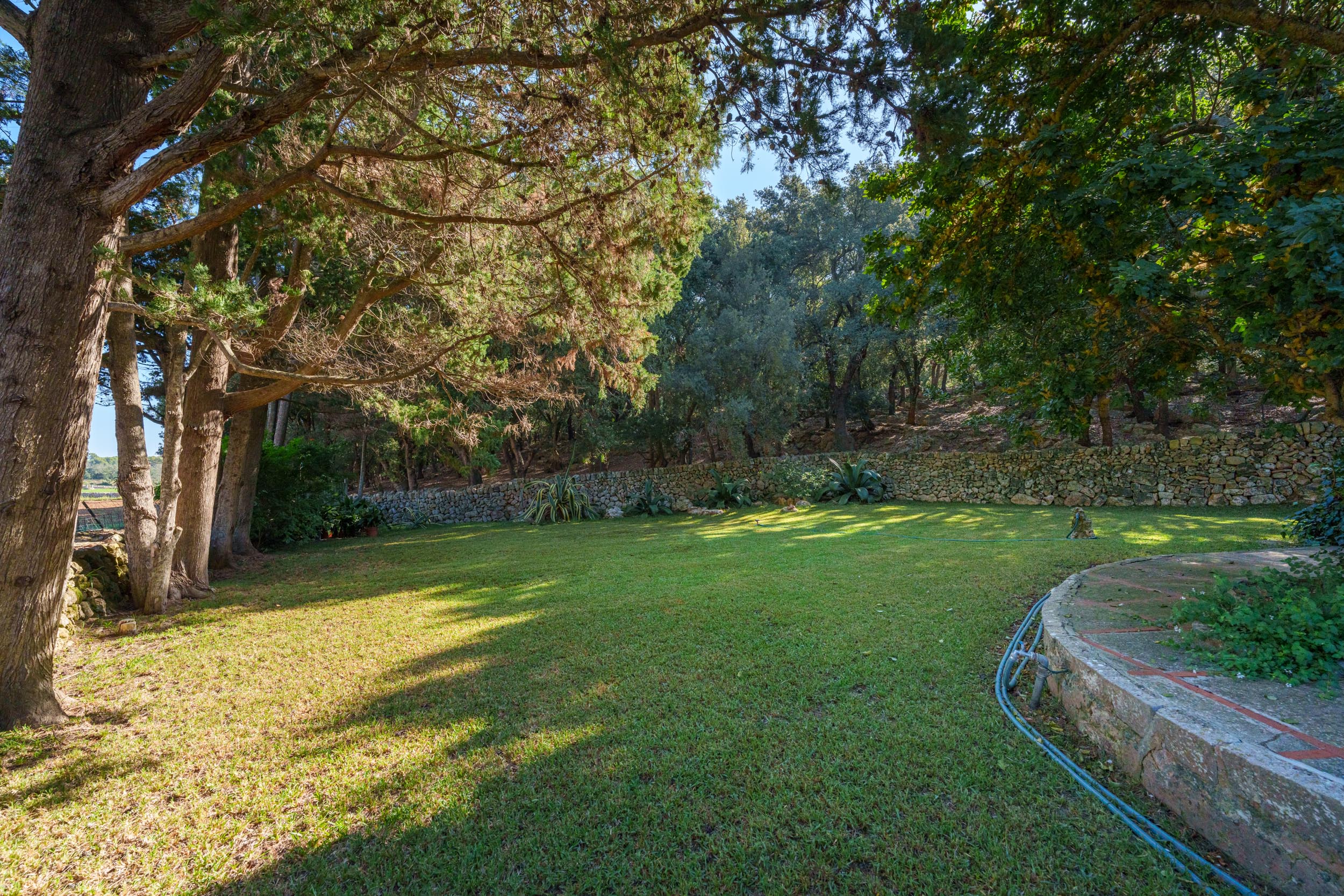 ObjectPhoto20
