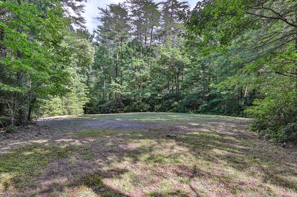 Cherry Log, Georgia, 30522, United States, ,Land,For Sale,1858995