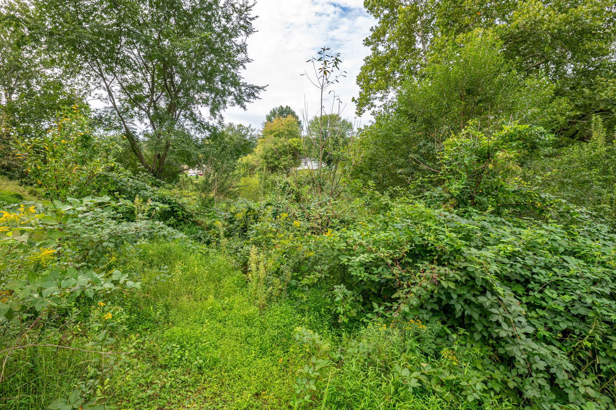  0 River Rd, Pequea, PA 17565 - 物件實景