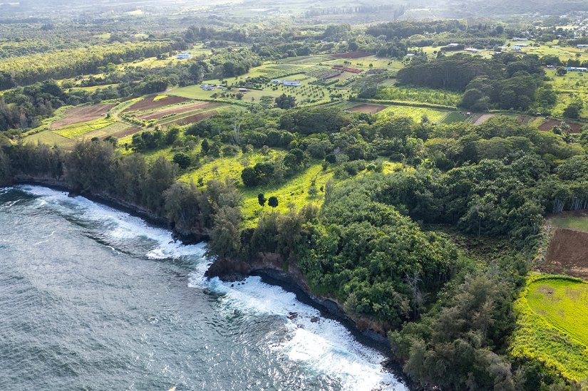 Pepeekeo, Hawaii, 96783, United States, ,Land,For Sale,1978999