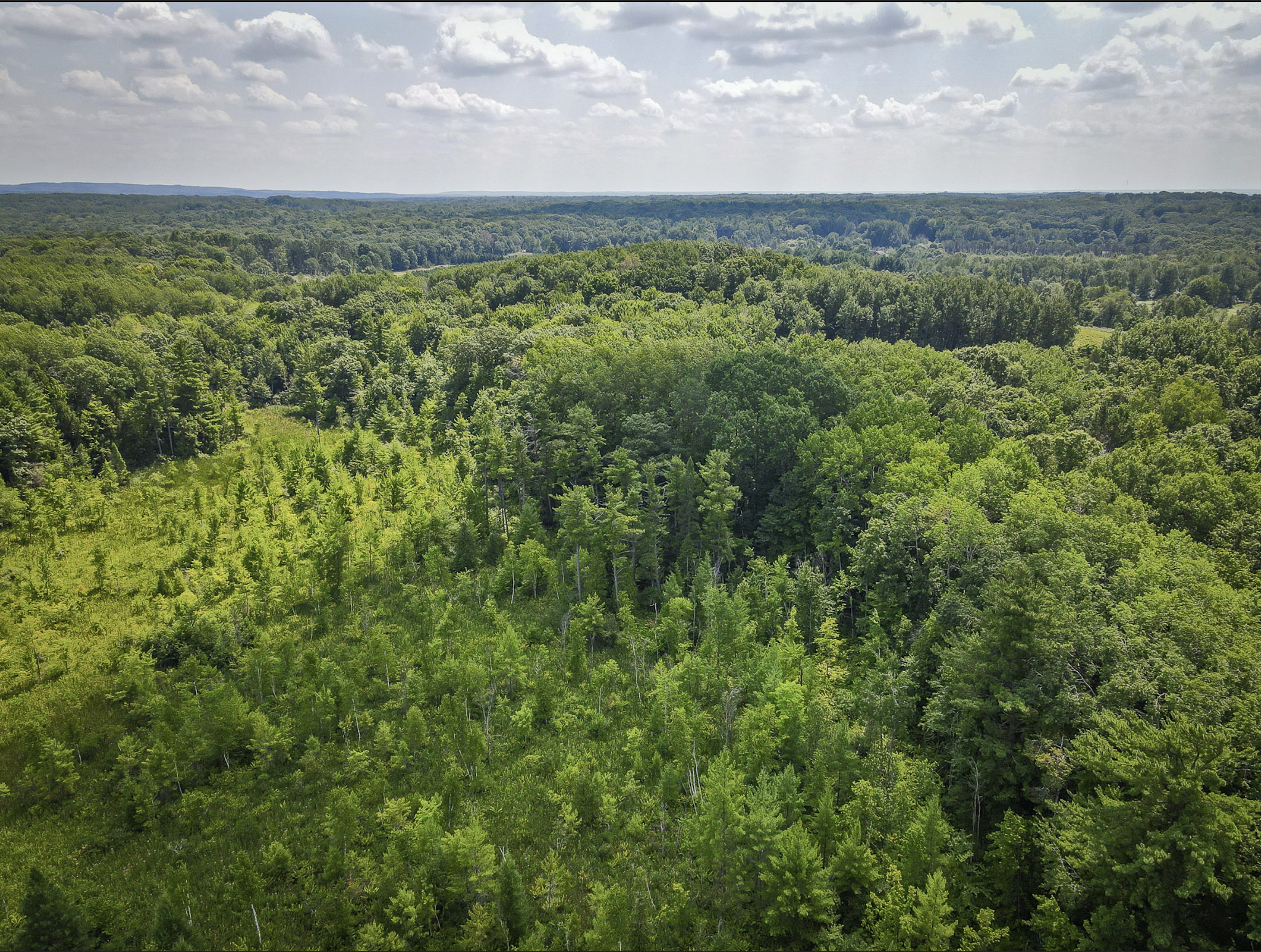 Branch, Michigan, 49402, United States, 1 Bedroom Bedrooms, ,1 BathroomBathrooms,Residential,For Sale,2001233