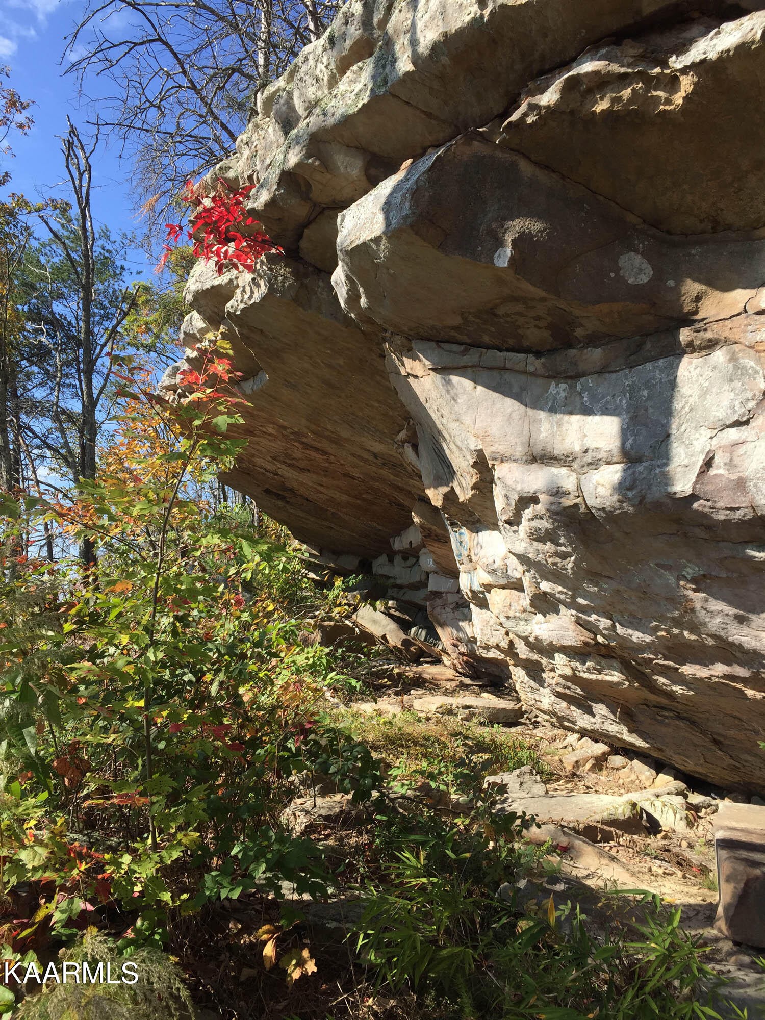 Pikeville, Tennessee, 37367, United States, ,Residential,For Sale,1943070