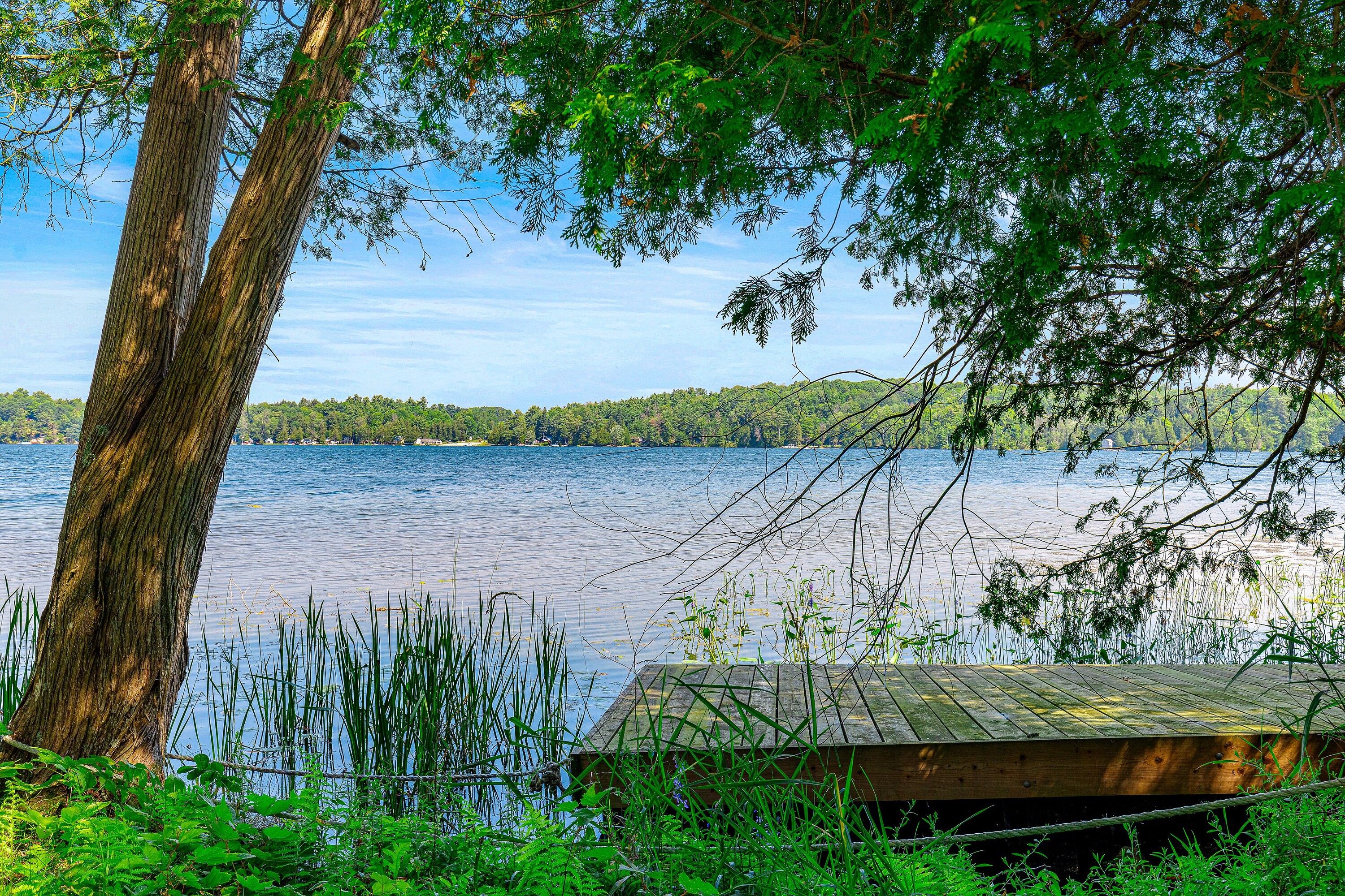  Picture Perfect Lake - 物件實景