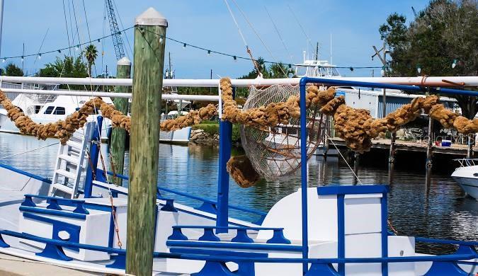 945 Bayshore Drive, Tarpon Springs, Florida, 34689, United States, 3 Bedrooms Bedrooms, ,2 BathroomsBathrooms,Residential,For Sale,945 Bayshore Drive,1675111