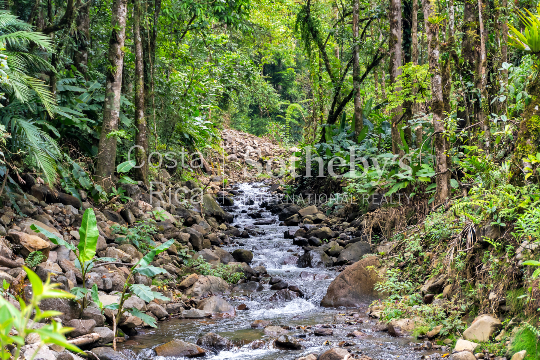  Hacienda Ecológica Río Toro - 物件實景