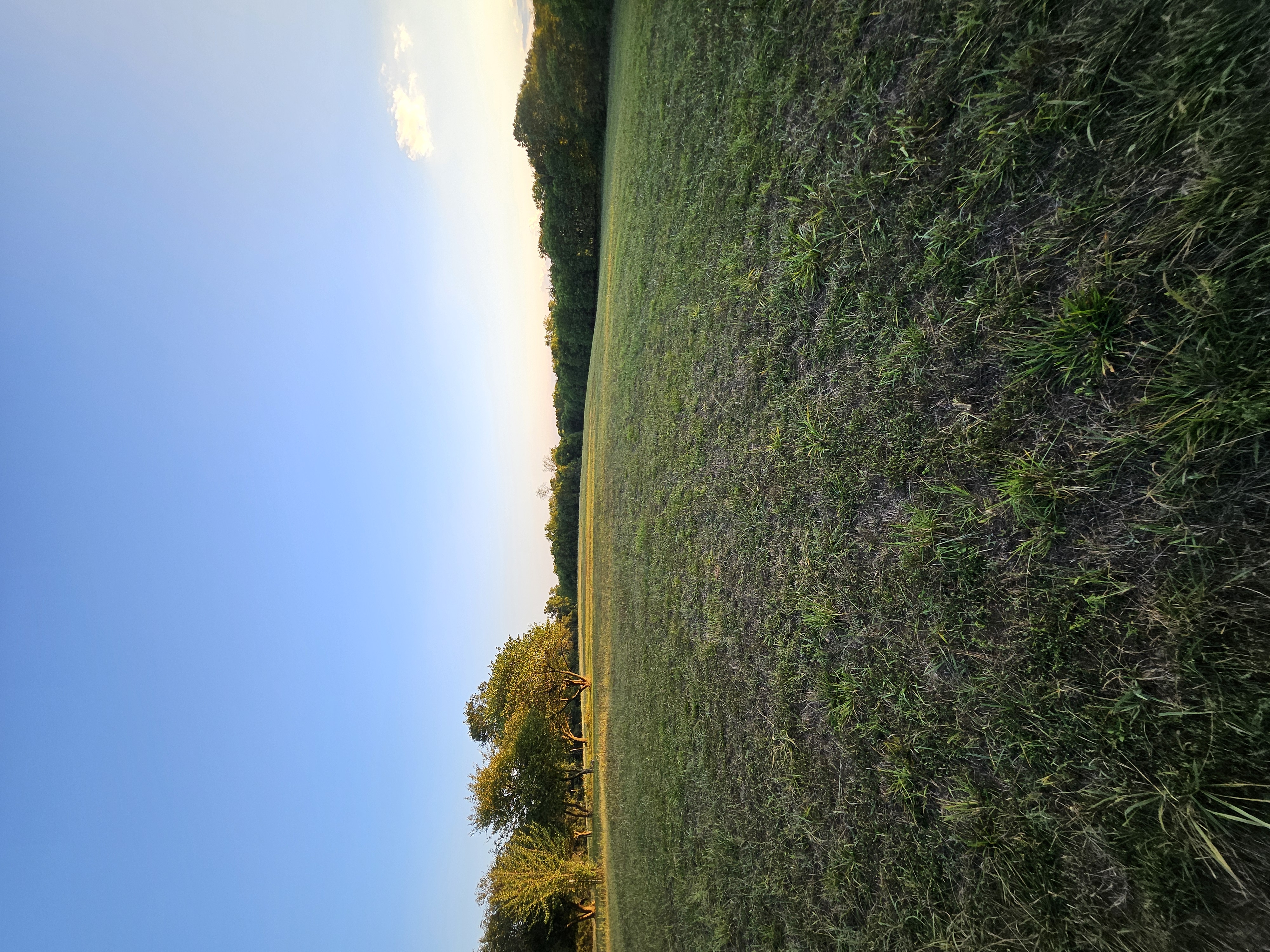 Pierce City, Missouri, 65723, United States, 5 Bedrooms Bedrooms, ,3 BathroomsBathrooms,Residential,For Sale,1984282