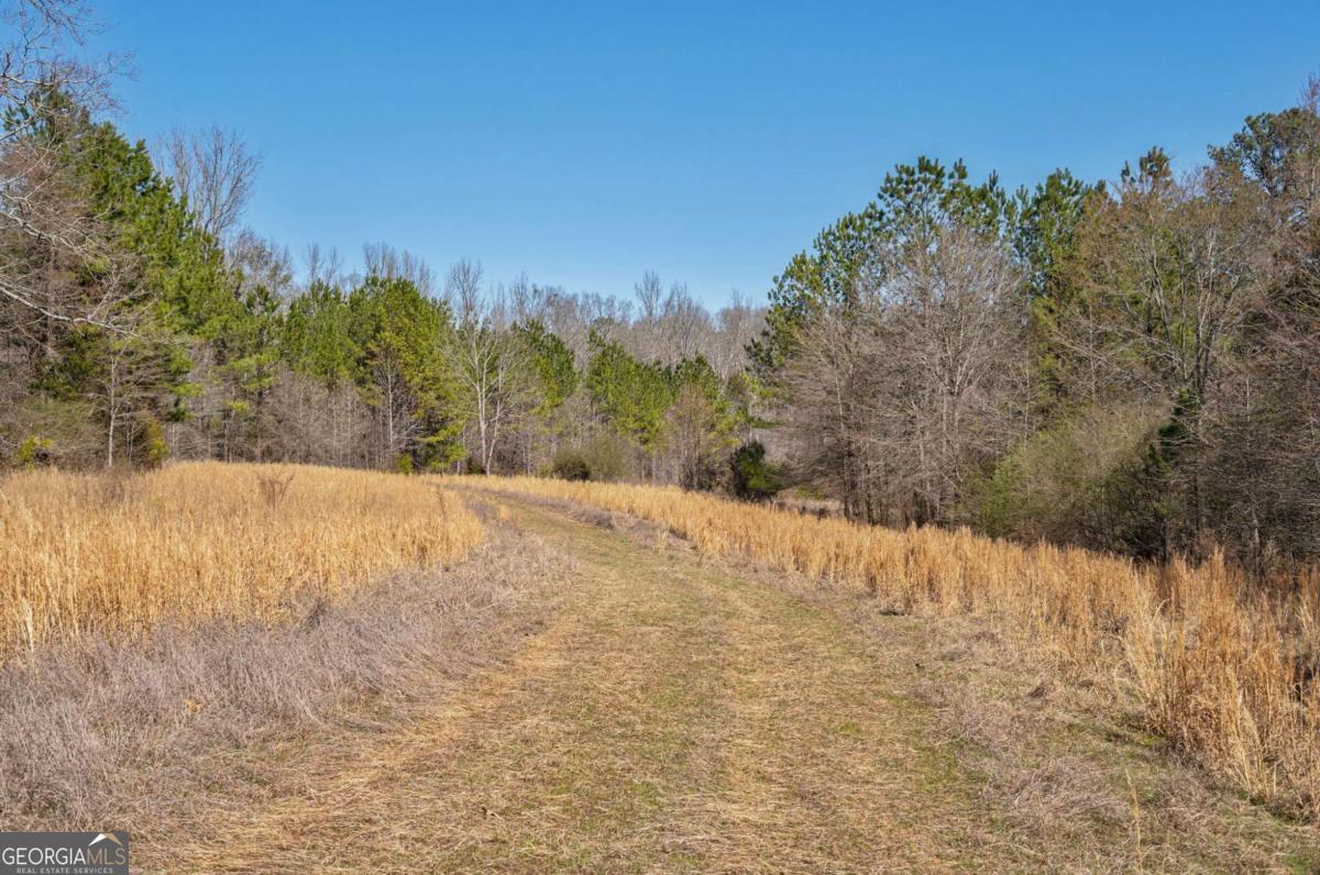 Loganville, Georgia, 30052, United States, ,Land,For Sale,1794501