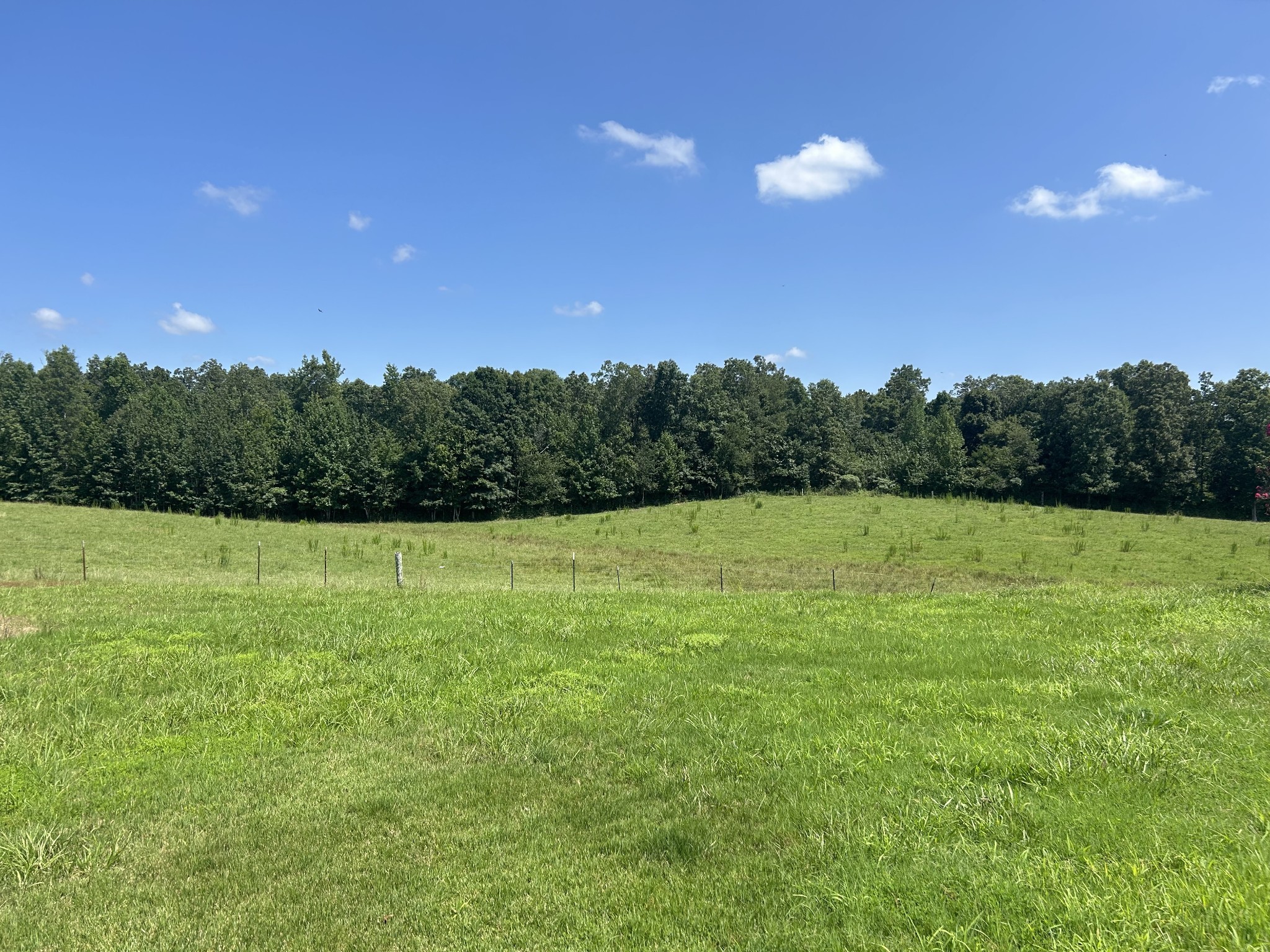 Iron City, Tennessee, 38463, United States, 4 Bedrooms Bedrooms, ,3 BathroomsBathrooms,Residential,For Sale,1737855